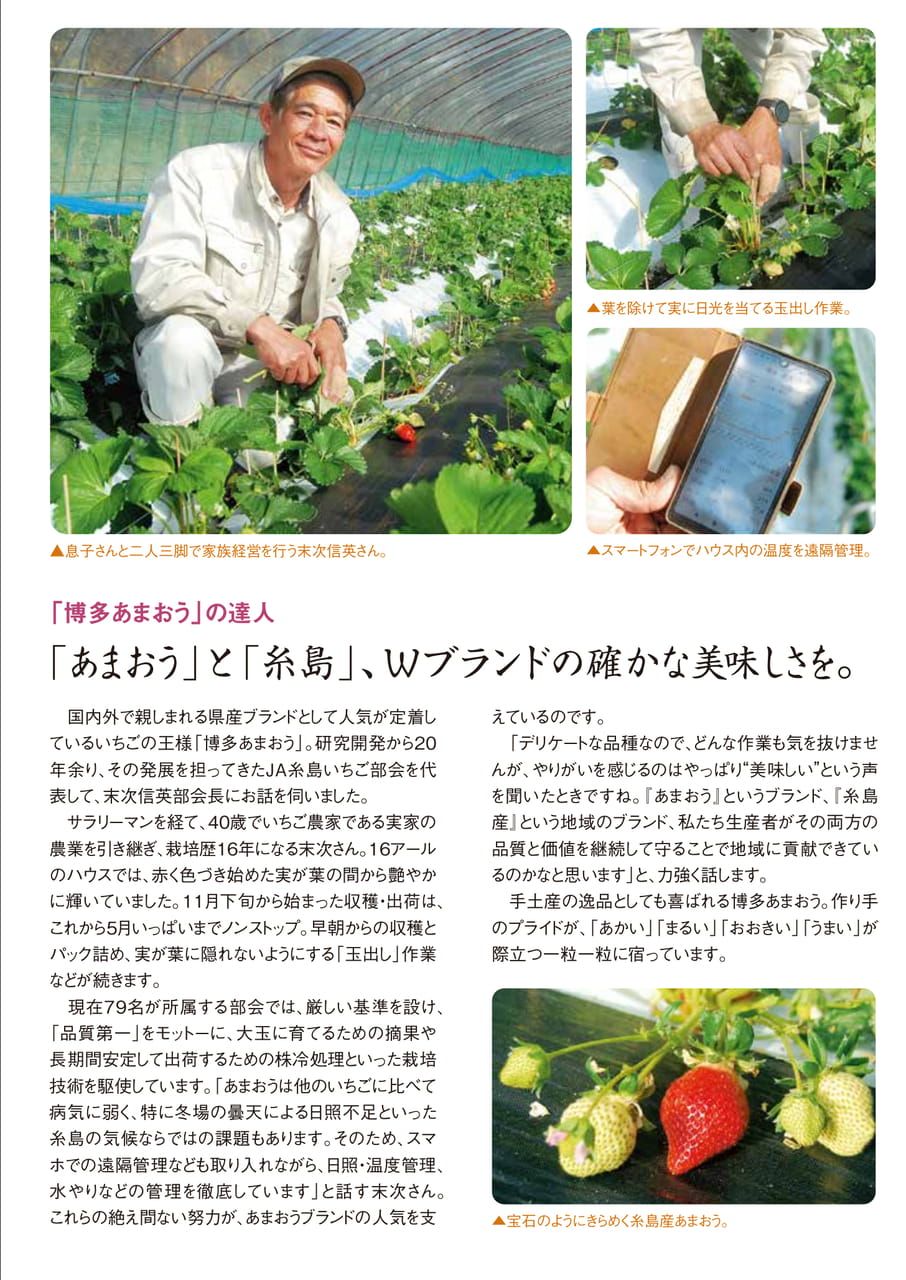 Page 4(4ページ目)