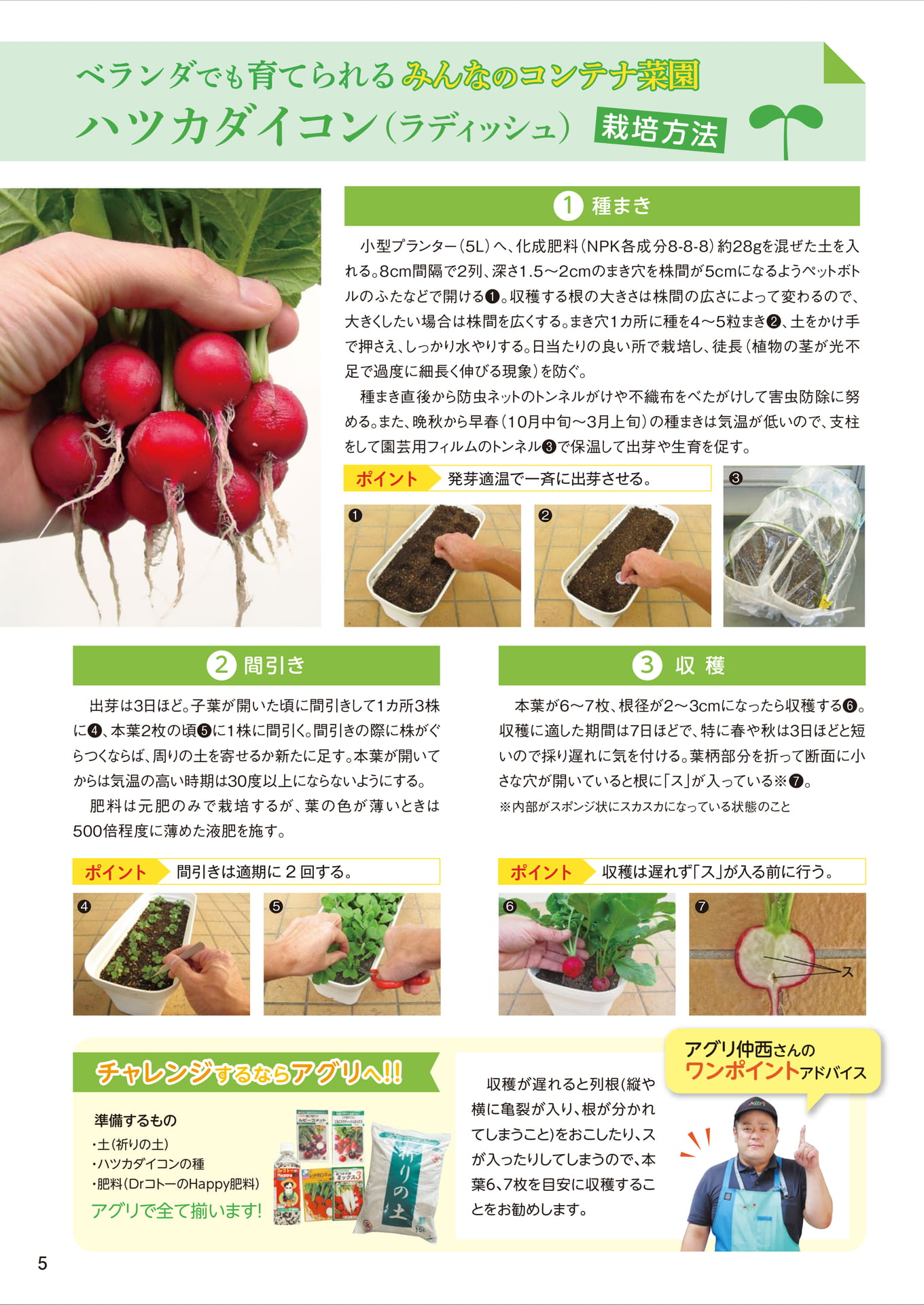 Page 6（6ページ目）