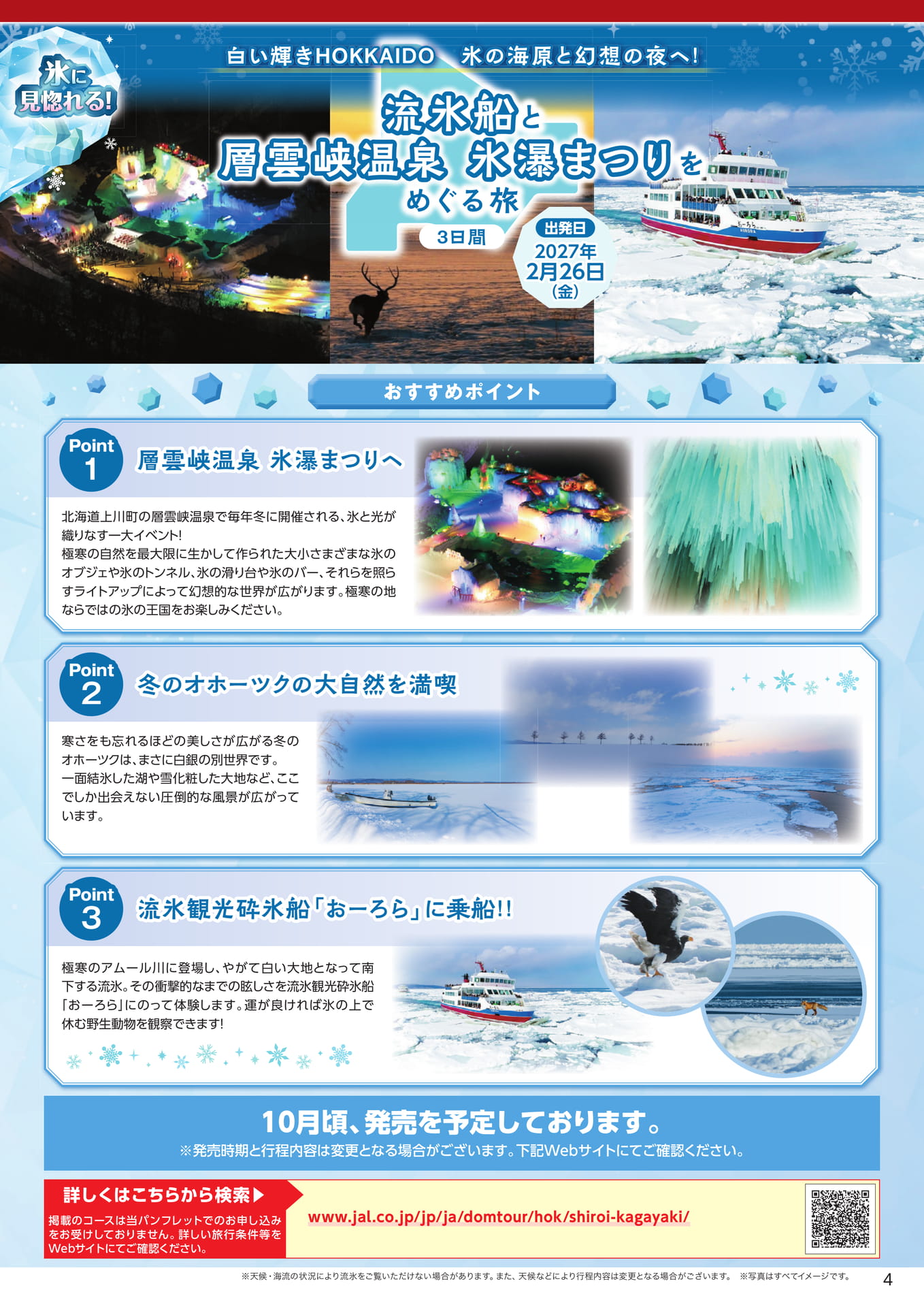 氷瀑まつりをめぐる旅(7ページ目)