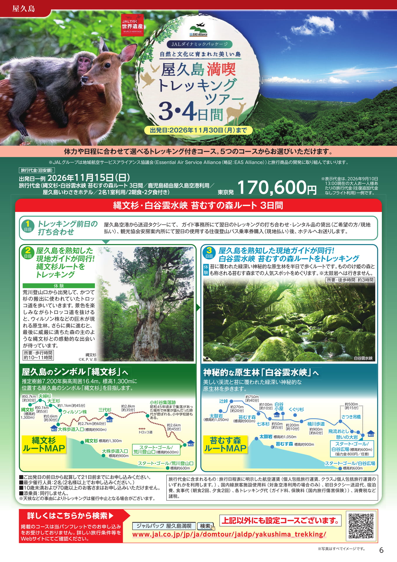 屋久島満喫トレッキングツアー(9ページ目)
