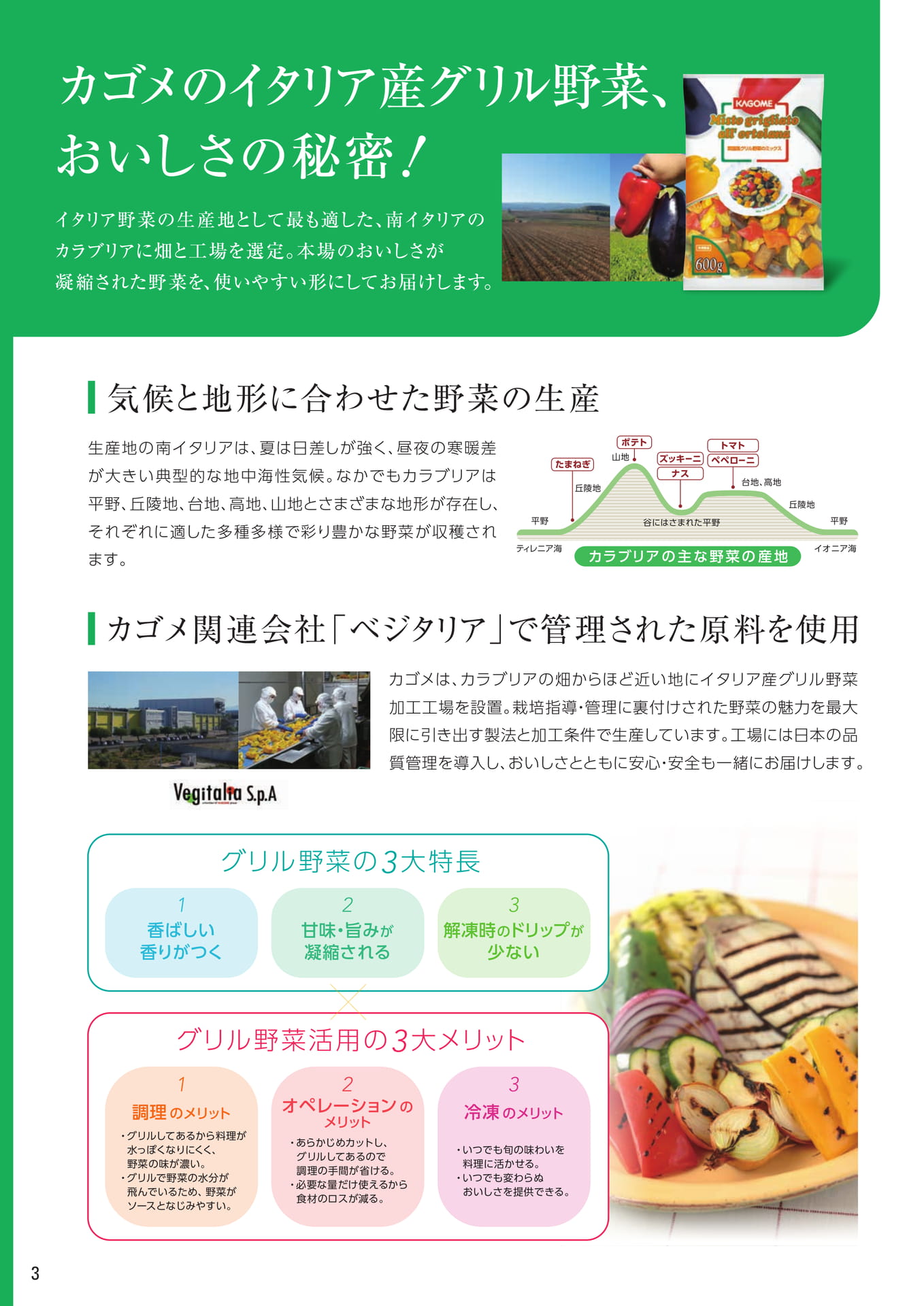 イタリア産グリル野菜（4ページ目）