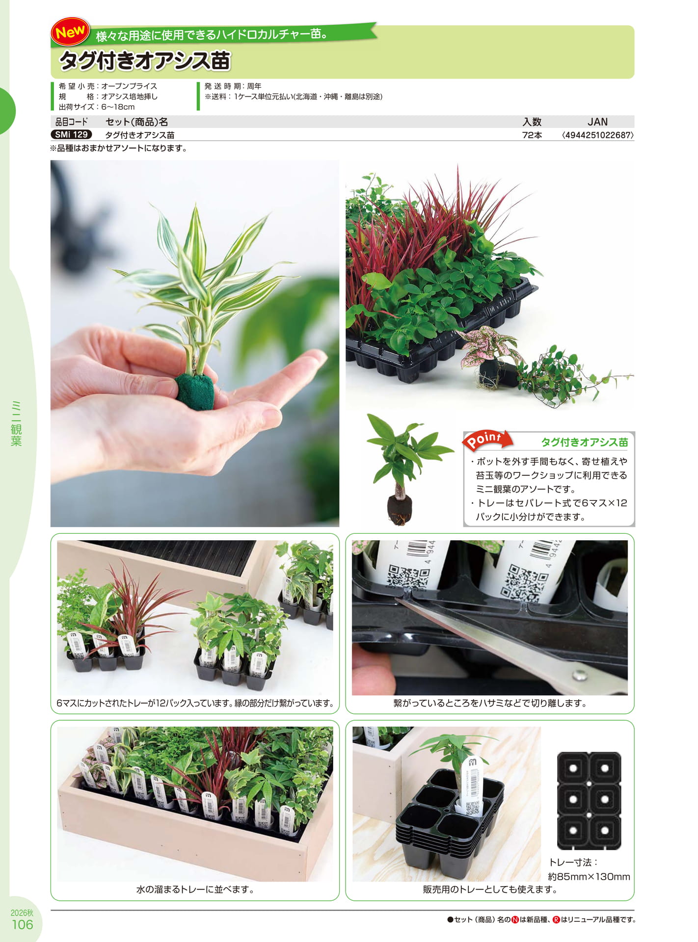 Page 106(106ページ目)