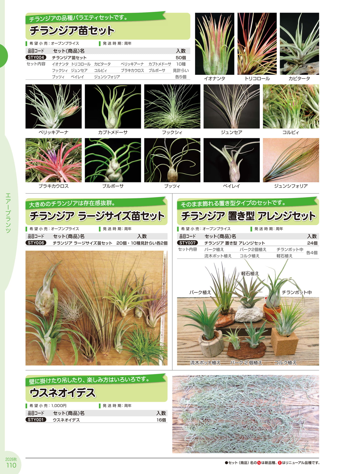 Page 110(110ページ目)