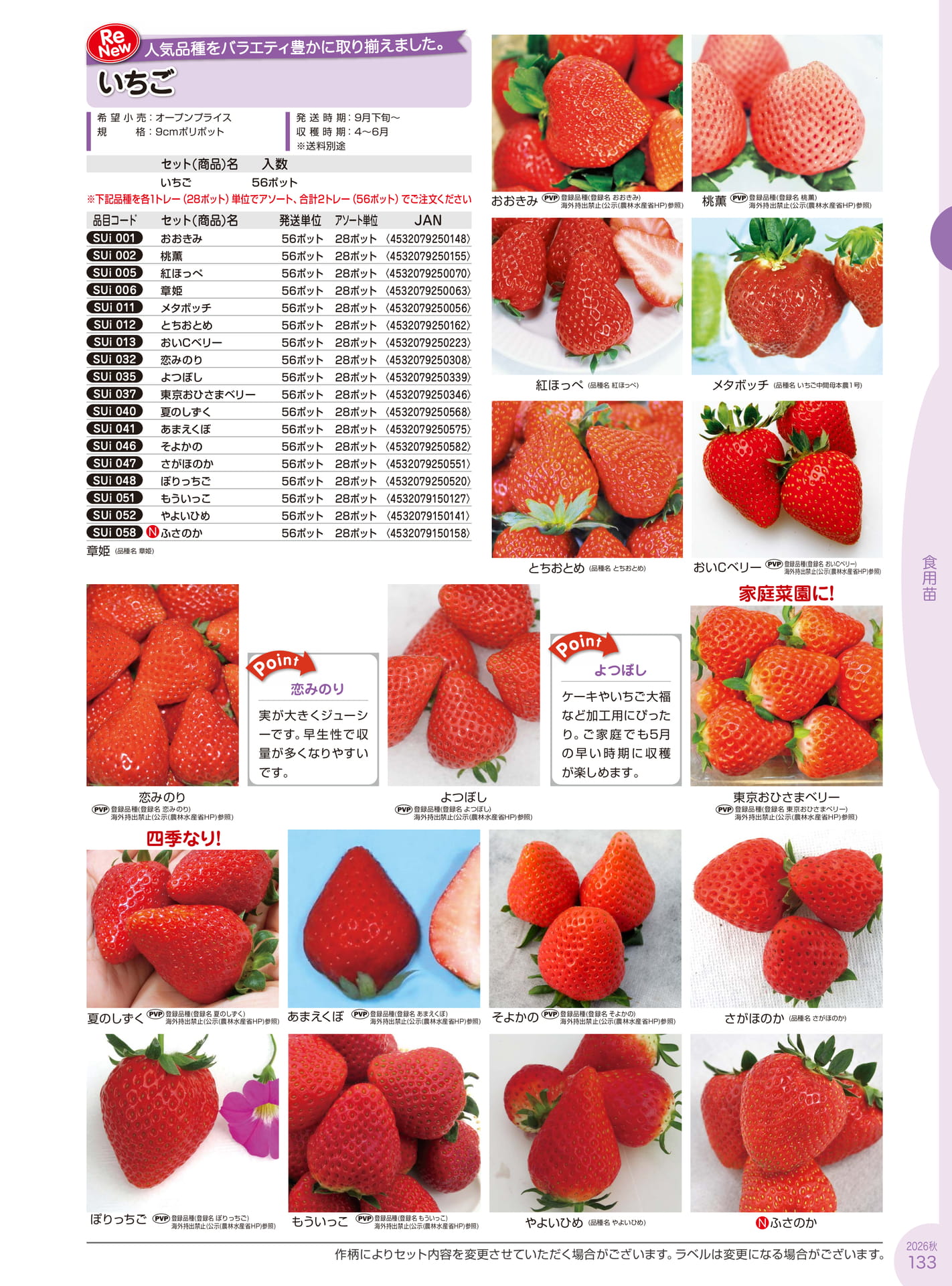 Page 133(133ページ目)