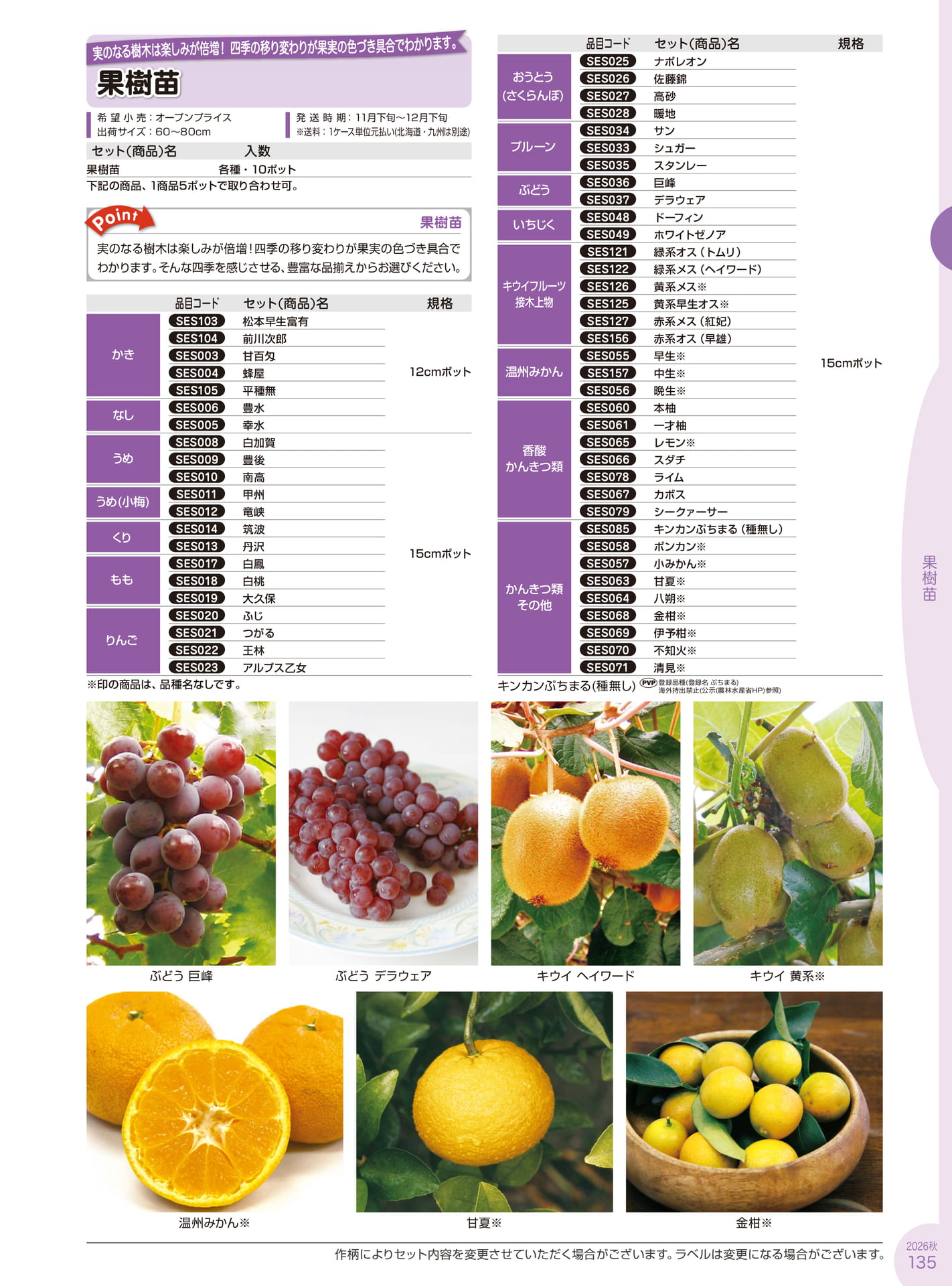 Page 135(135ページ目)