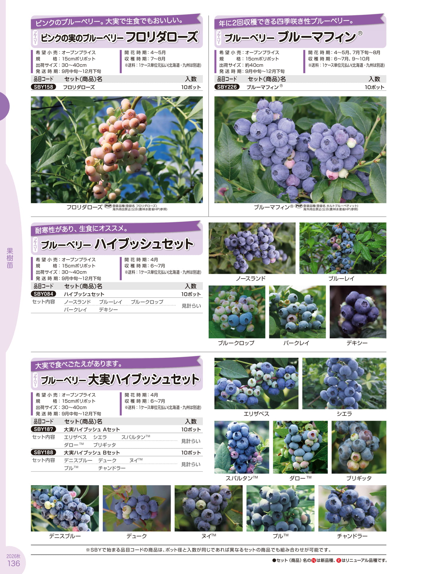 Page 136(136ページ目)