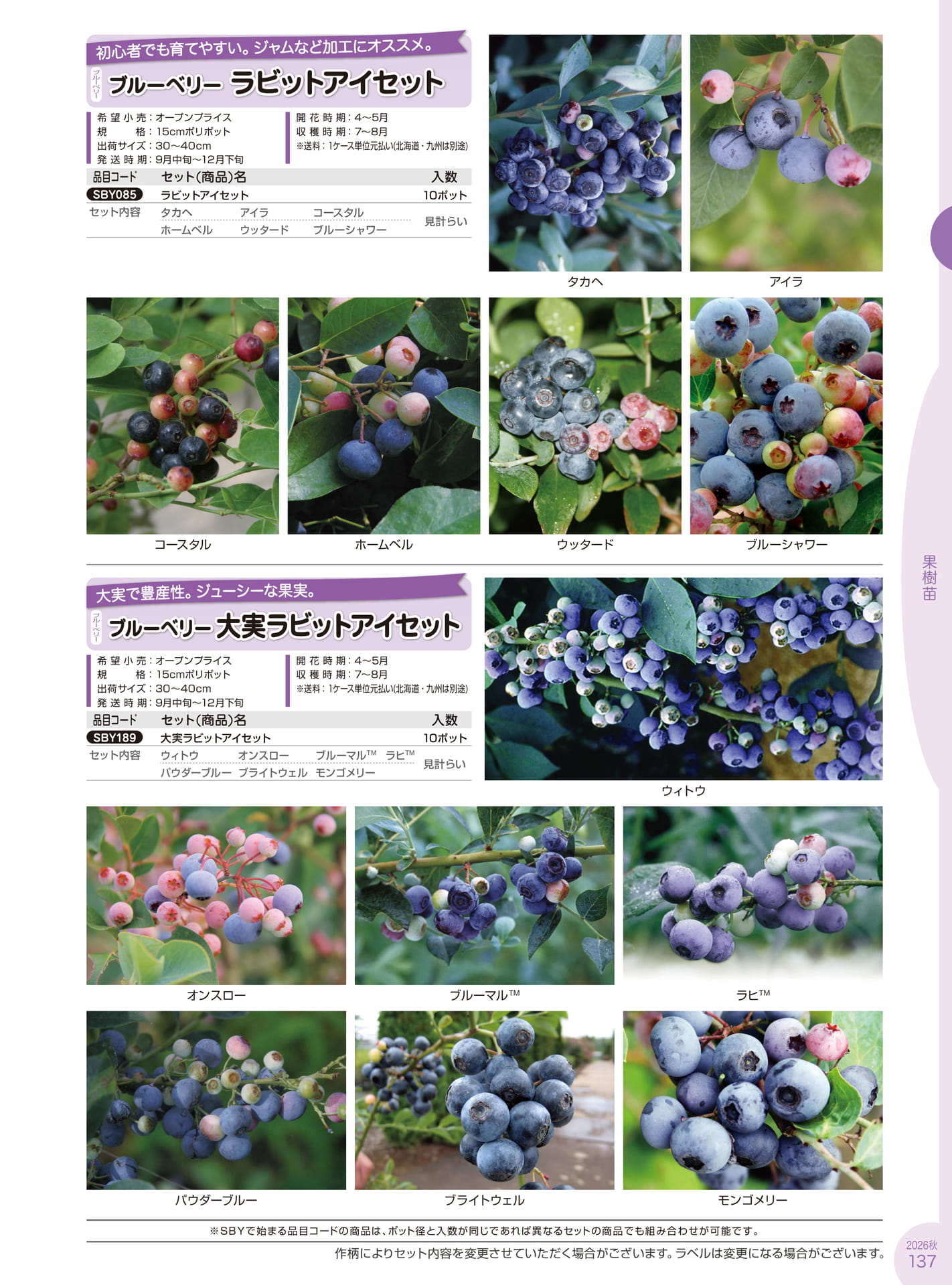 Page 137(137ページ目)