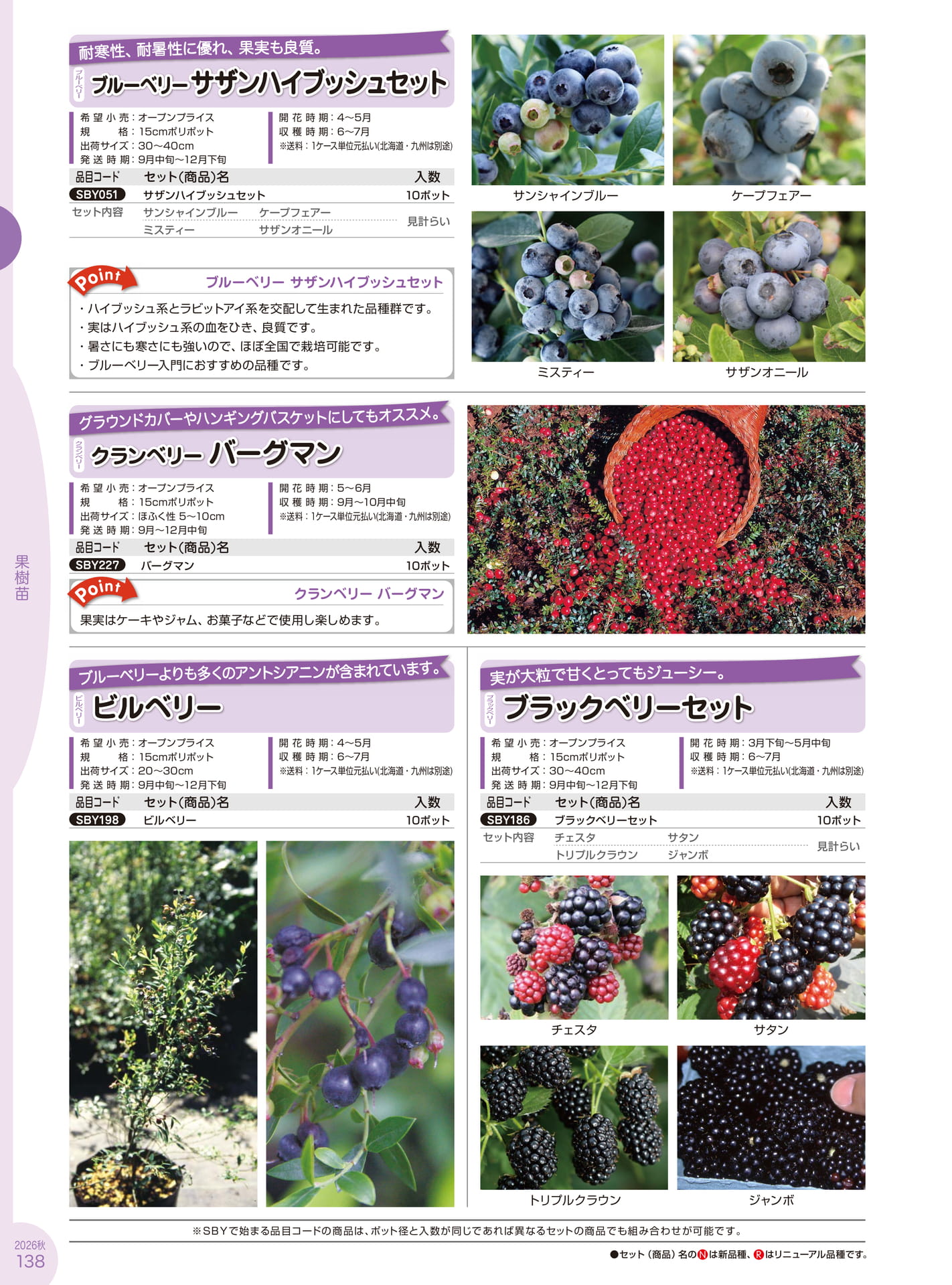 Page 138(138ページ目)