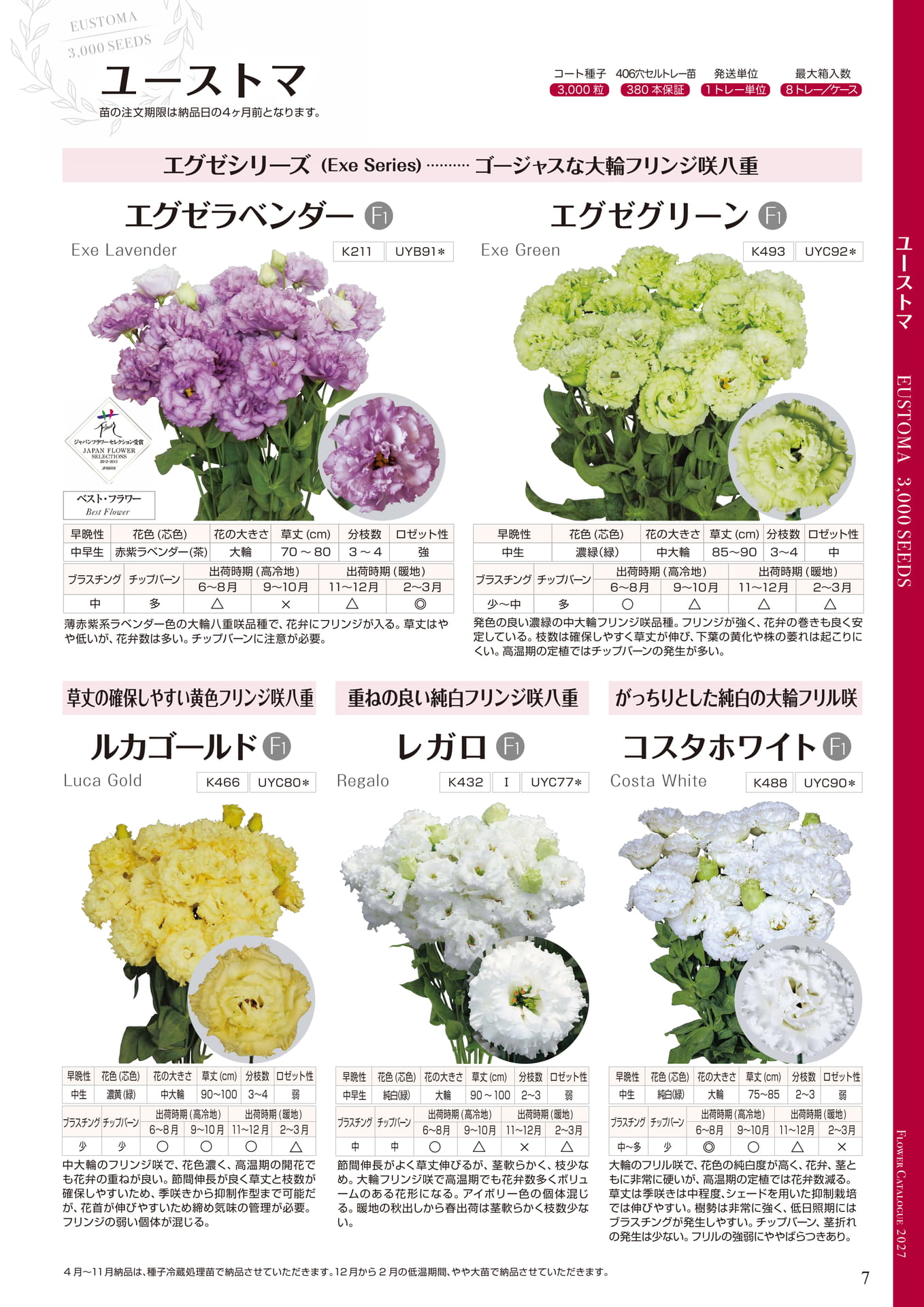 ユーストマ エグゼ・その他シリーズ（7ページ目）