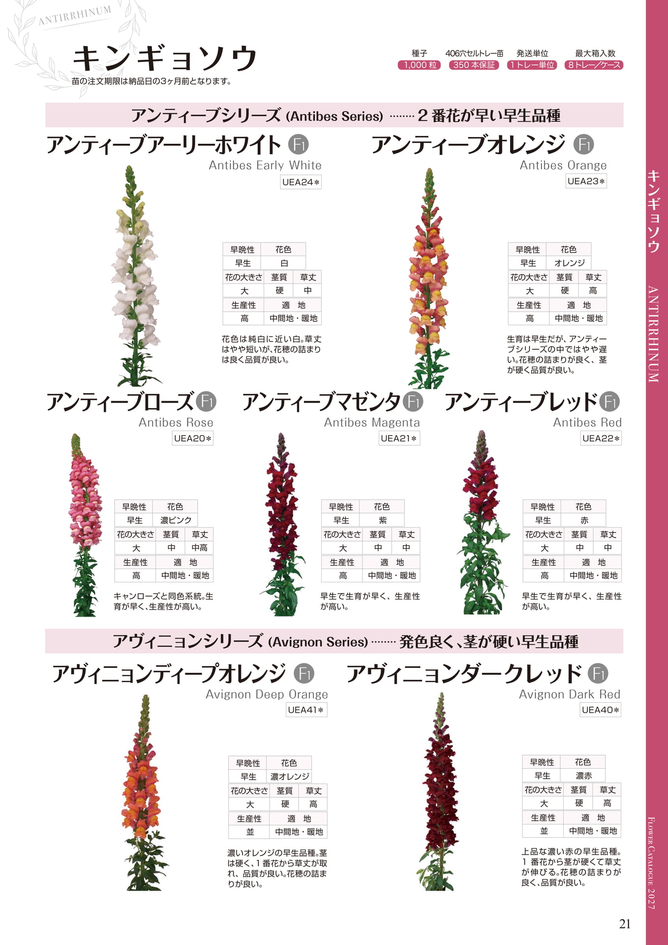 キンギョソウ アンティーブ・アヴィニョン（21ページ目）