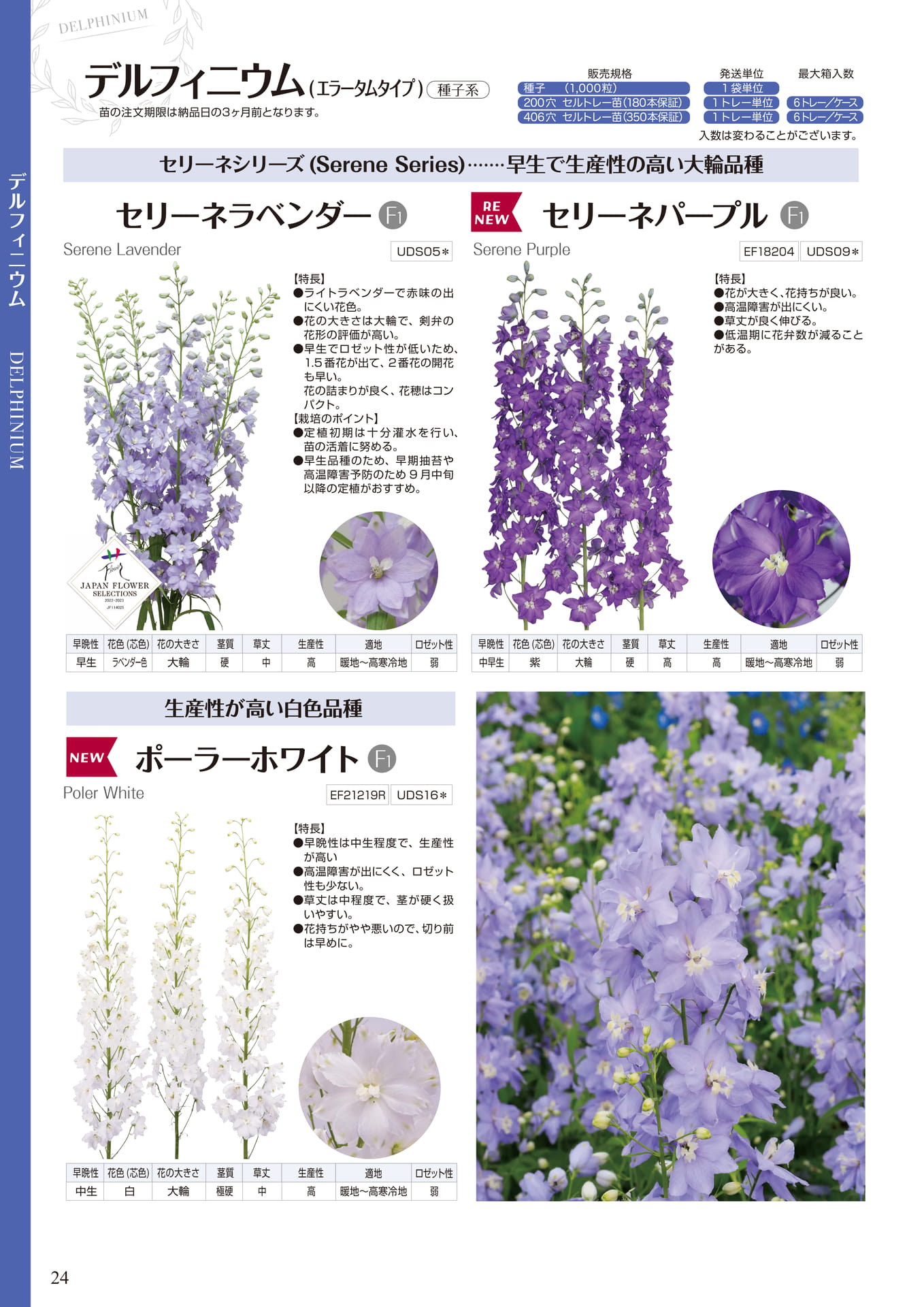 デルフィニウム セリーネシリーズ他（24ページ目）