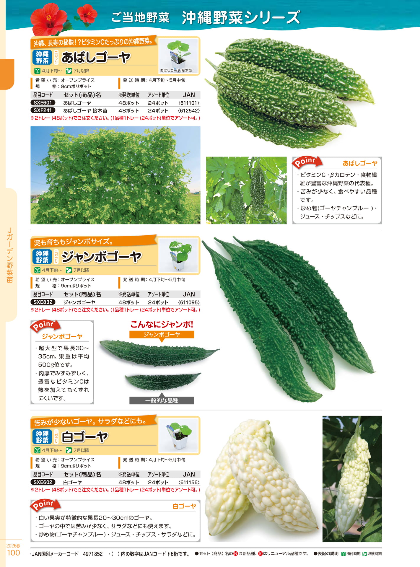 Page 100(100ページ目)