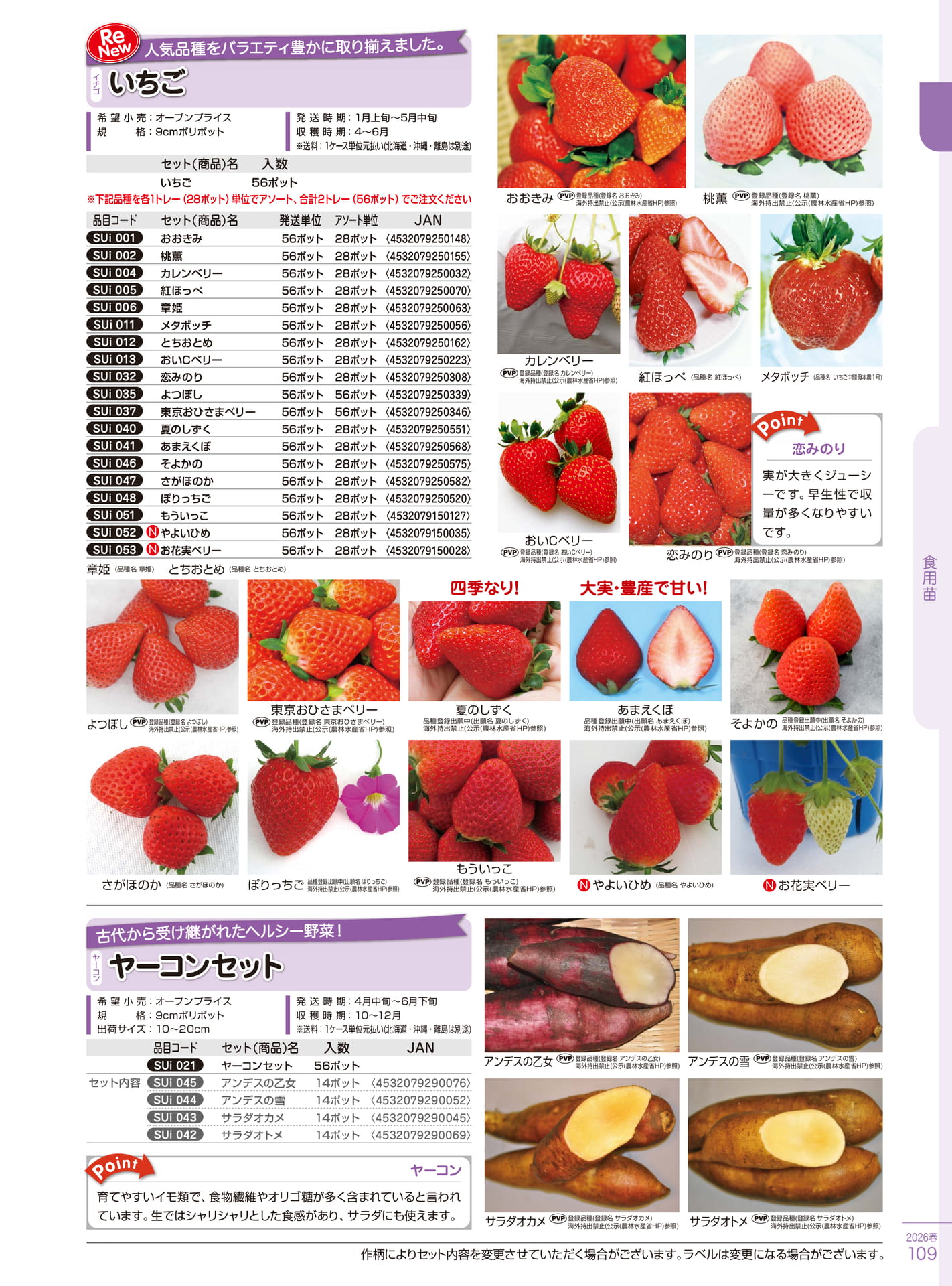 Page 109(109ページ目)