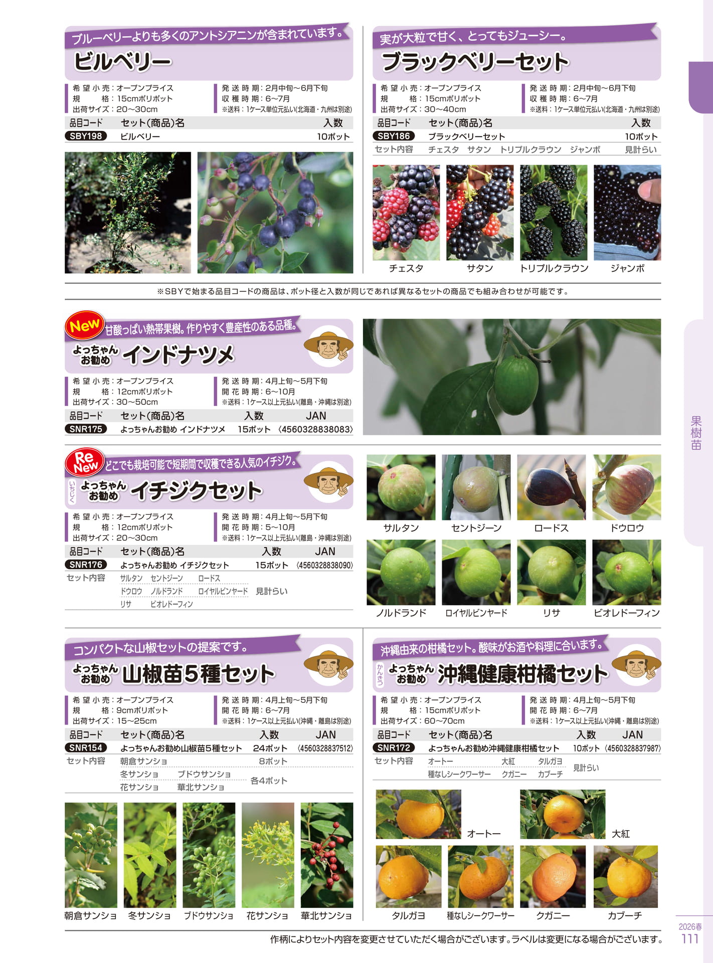 Page 111(111ページ目)