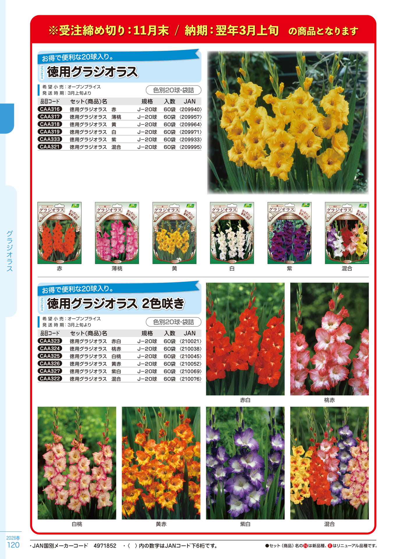 Page 120(120ページ目)