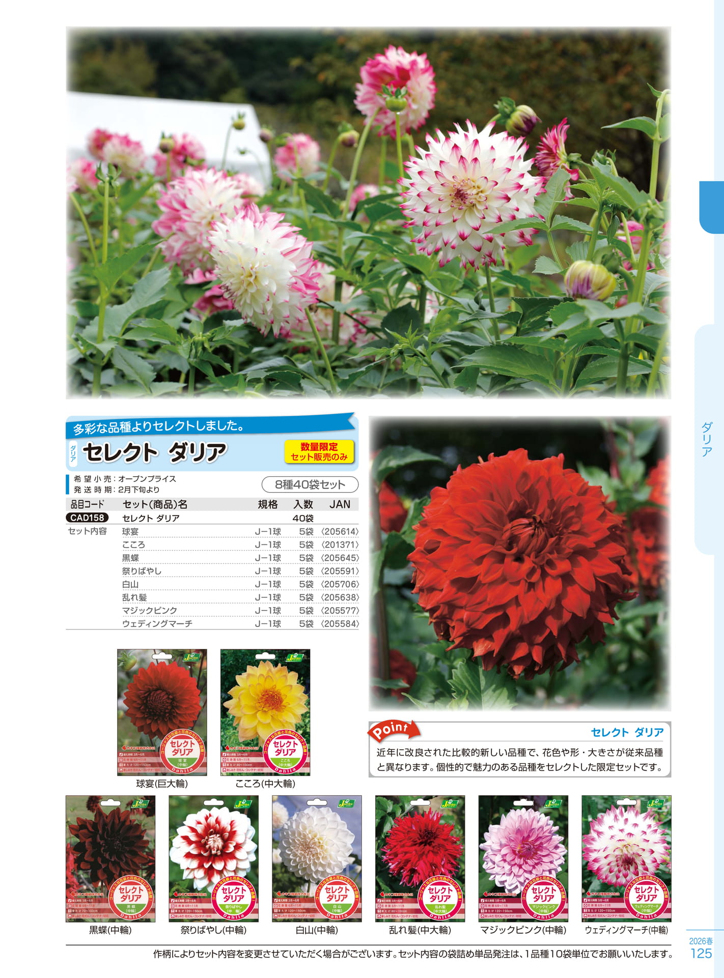 Page 125(125ページ目)