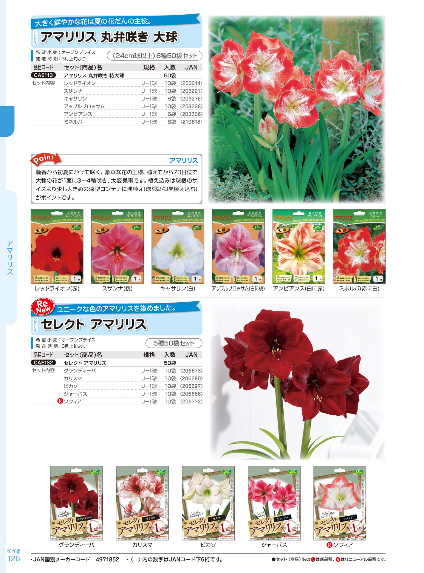 Page 126(126ページ目)