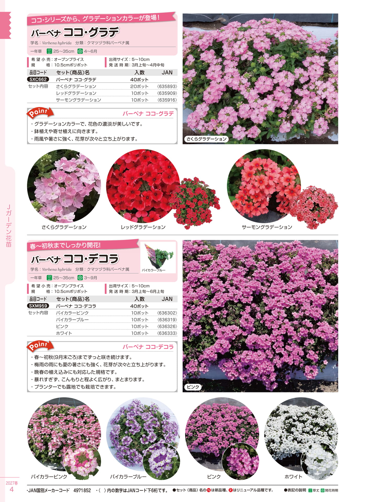 ガーデン花苗 春（4ページ目）