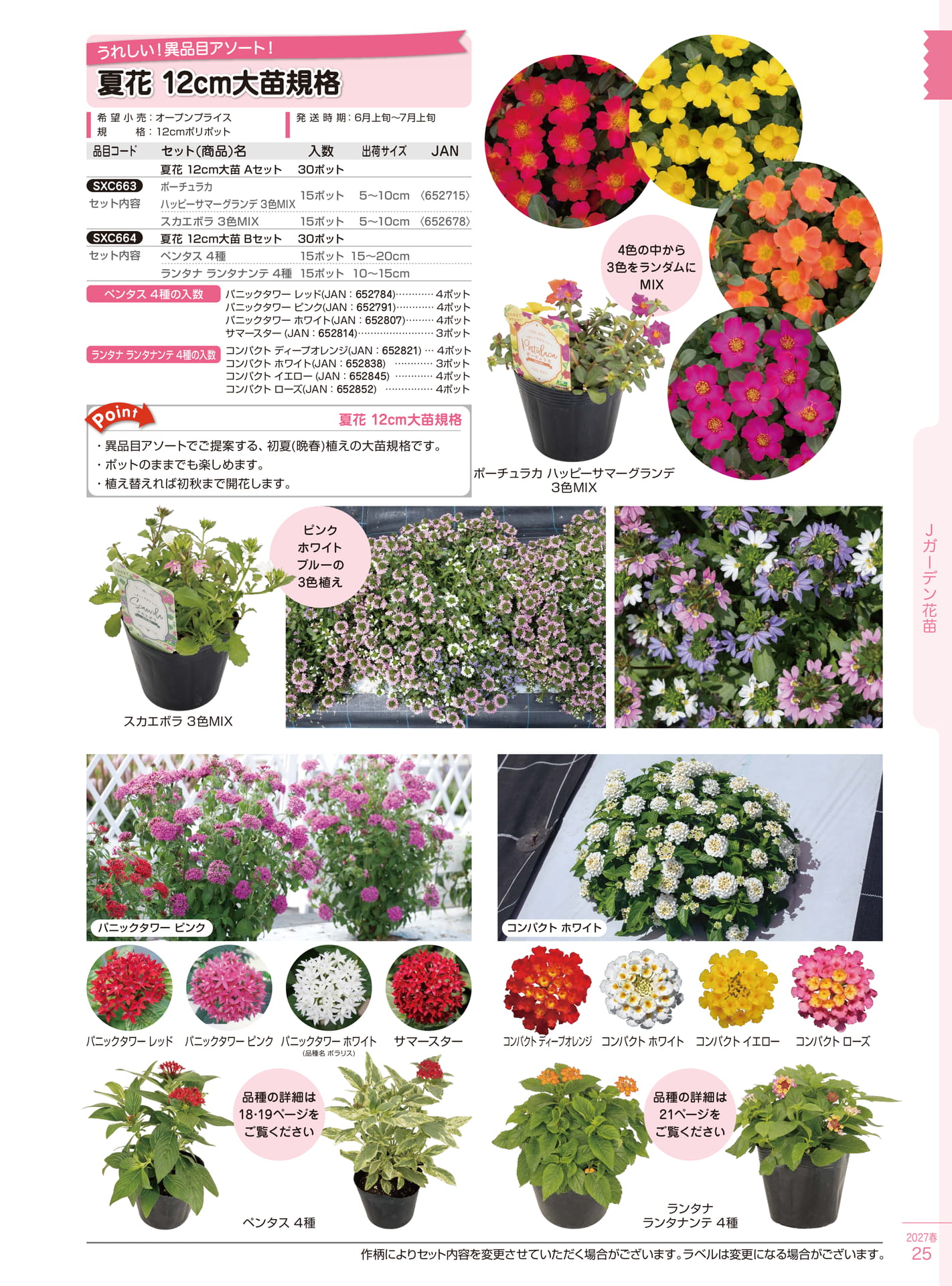 夏花 12cm大苗規格（25ページ目）