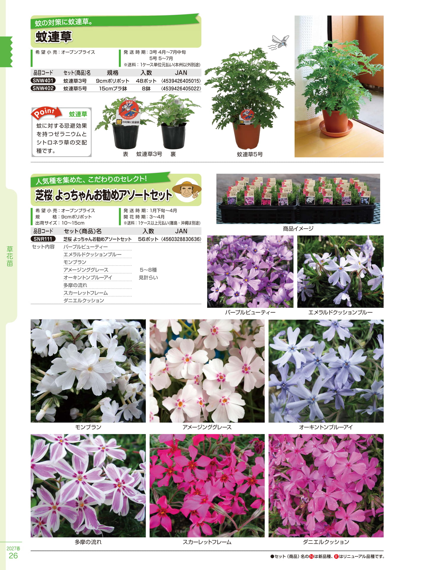 蚊連草・芝桜（26ページ目）