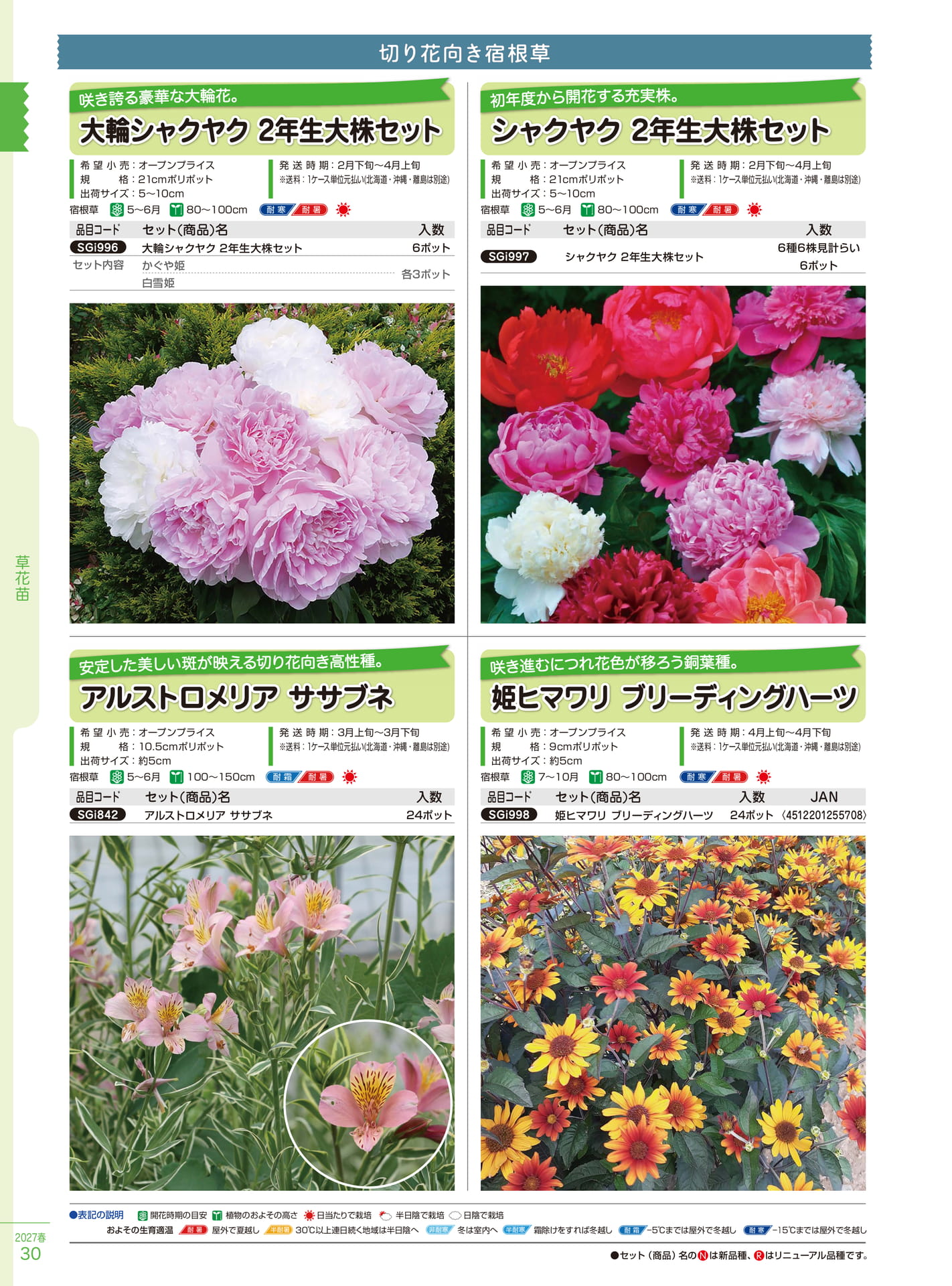 大輪シャクヤク等（30ページ目）
