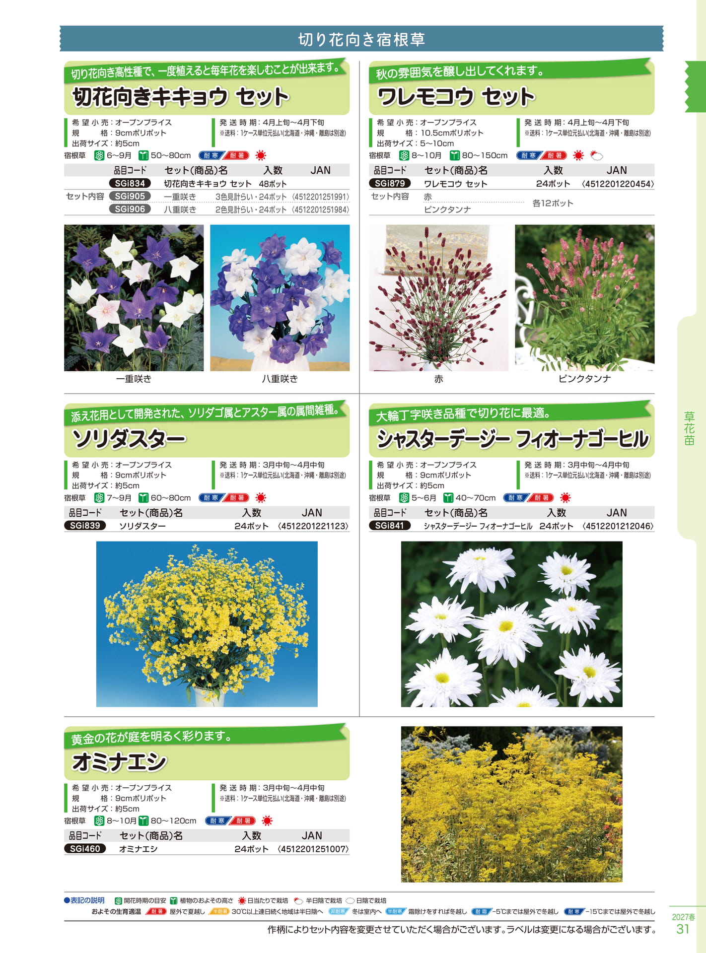 切り花向き宿根草（31ページ目）