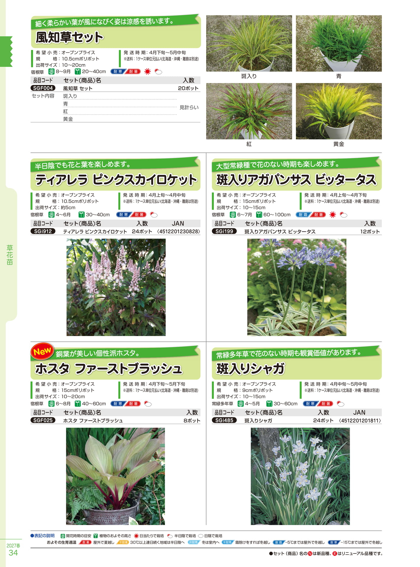 風知草・ティアレラ等（34ページ目）