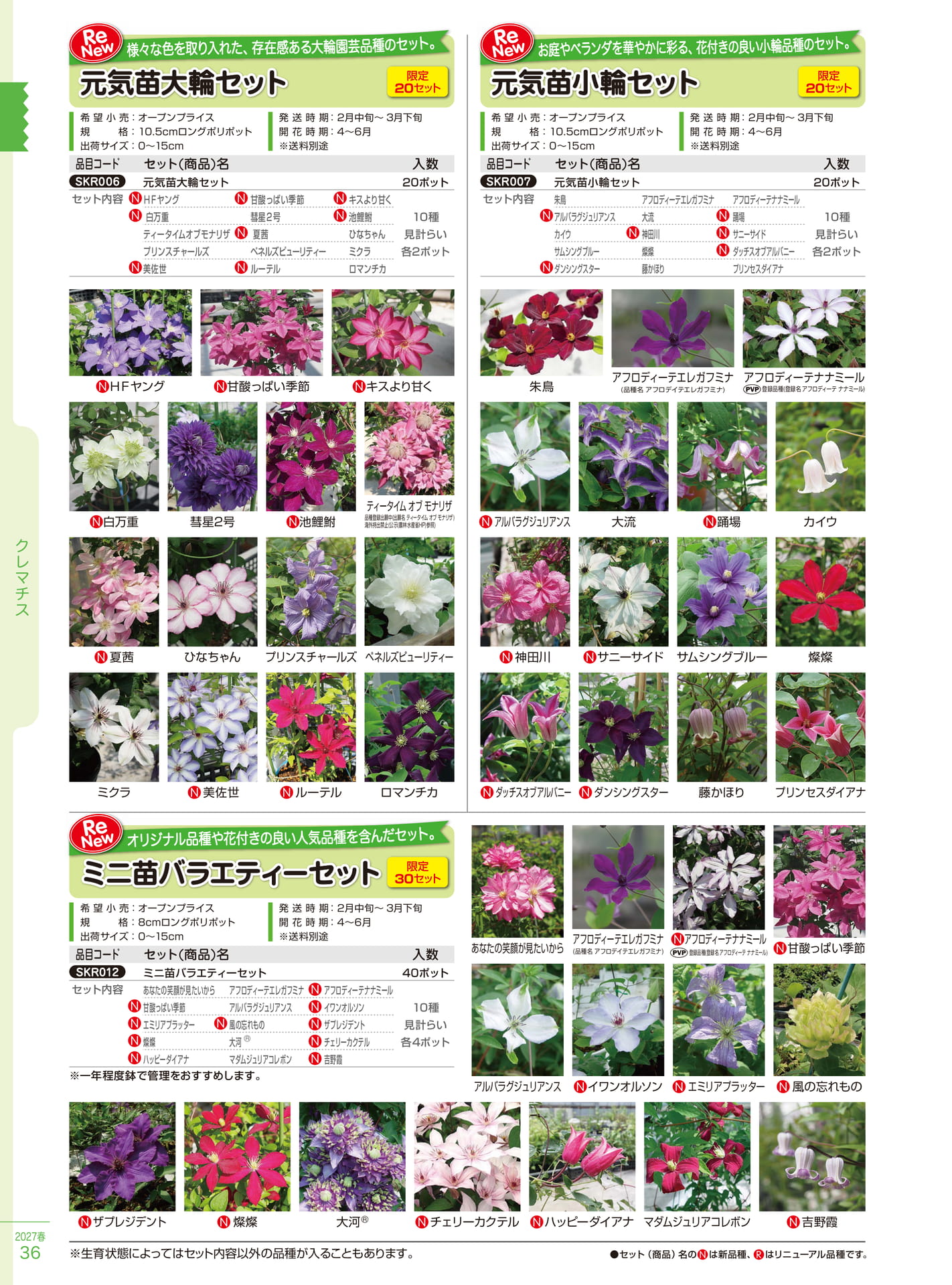 クレマチス 元気苗大輪・小輪（36ページ目）