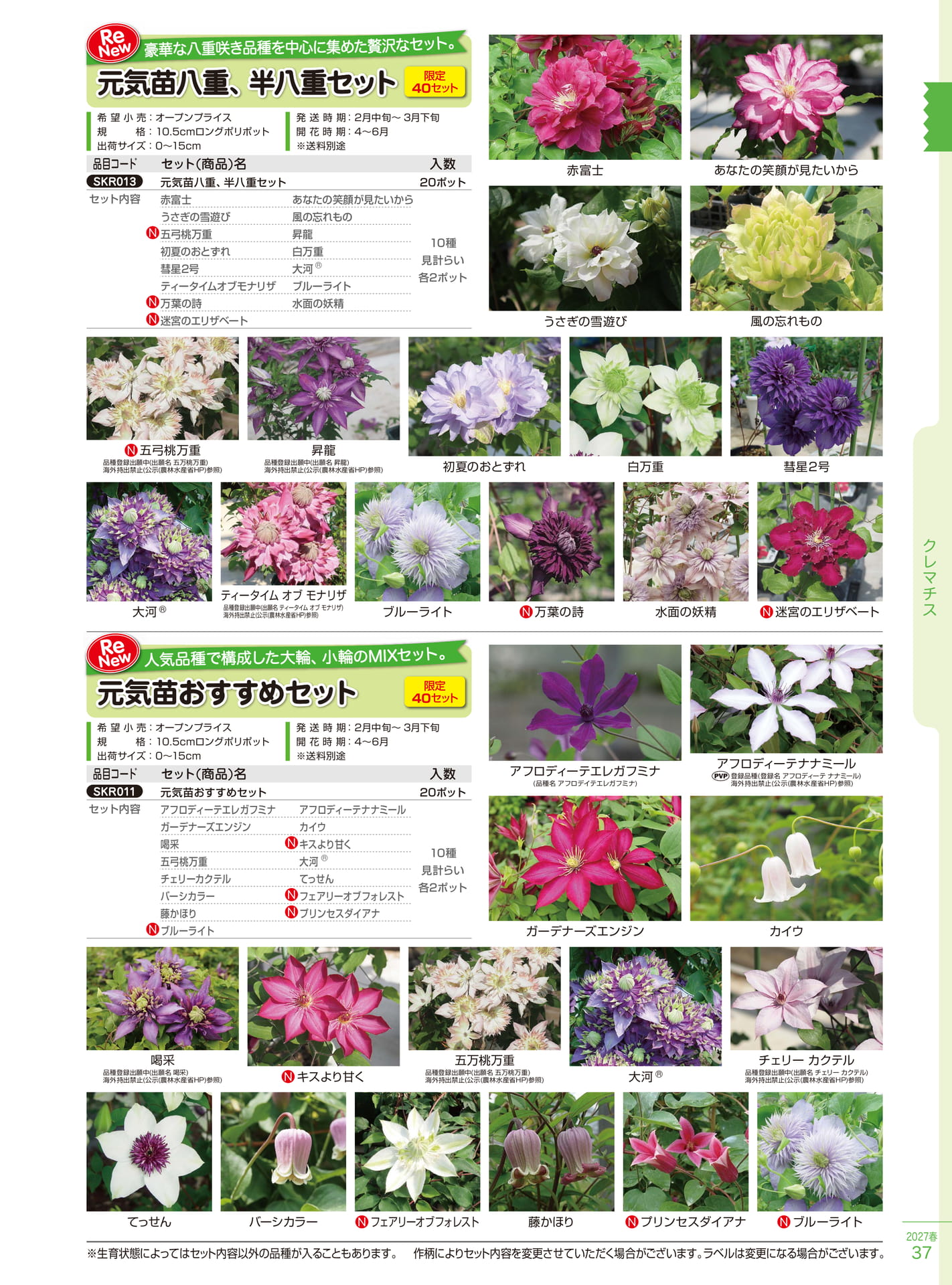 クレマチス 八重・おすすめ（37ページ目）