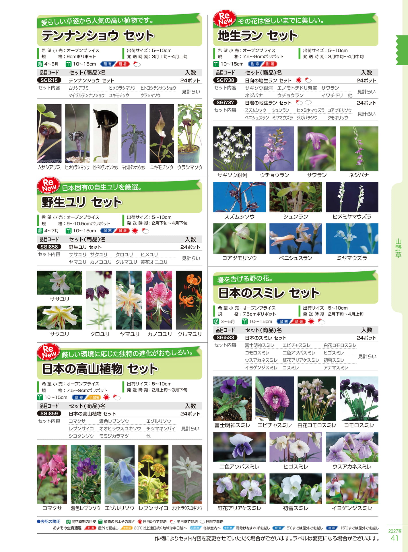 テンナンショウ・地生ラン等（41ページ目）