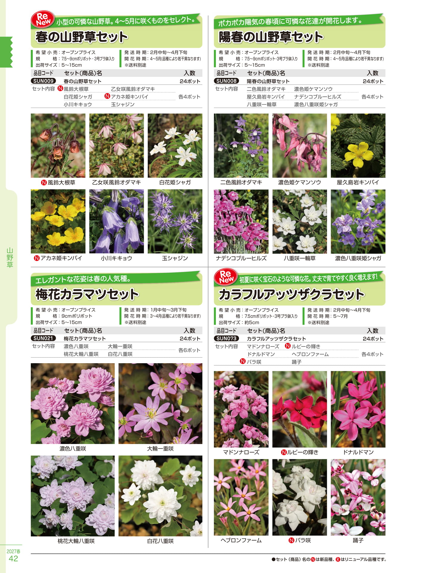 春の山野草セット（42ページ目）