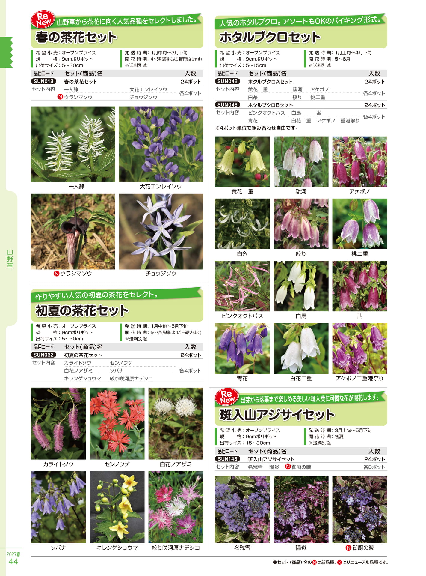 春・初夏の茶花セット（44ページ目）