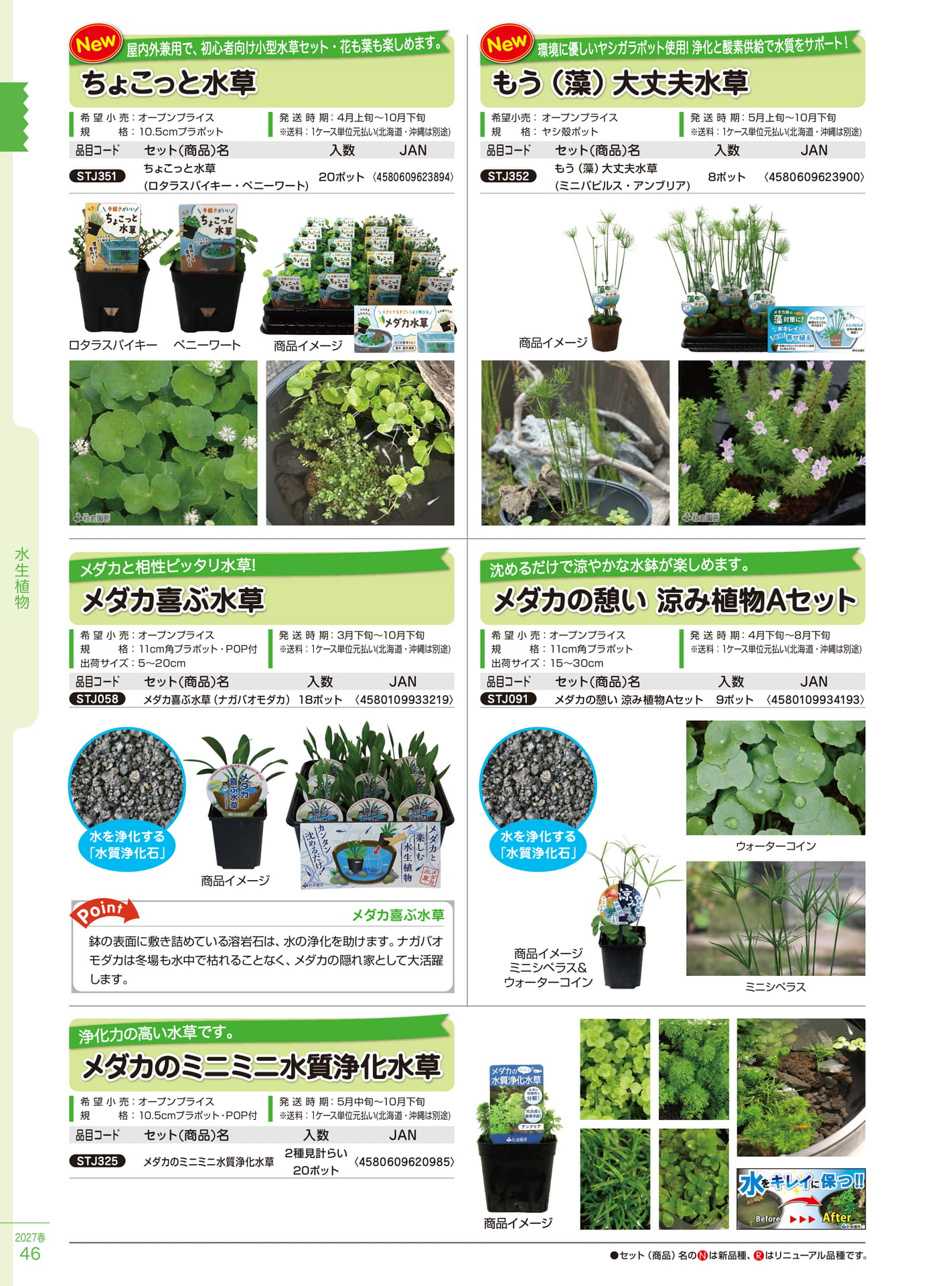 ちょこっと水草・メダカ水草（46ページ目）