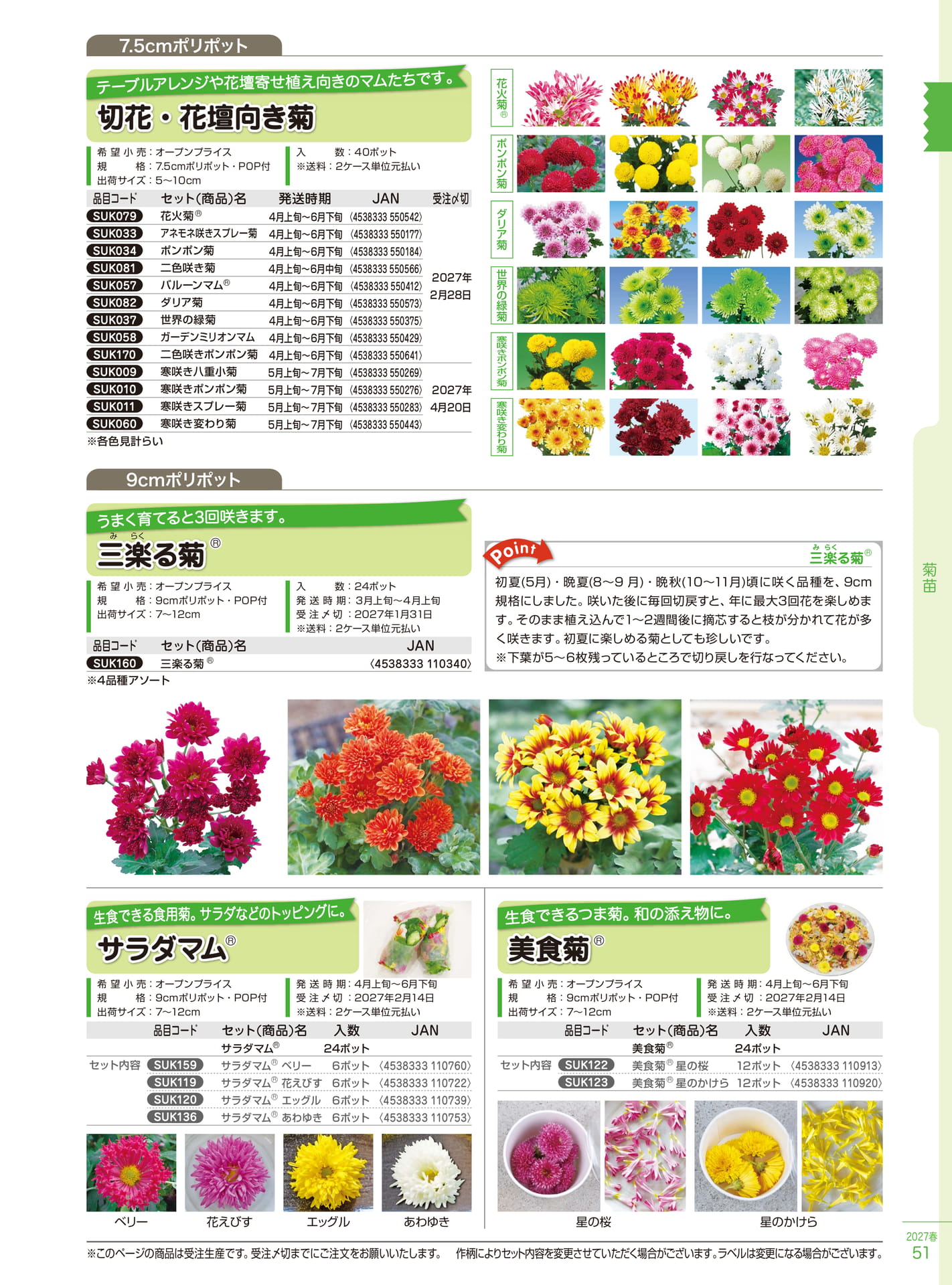 切花・花壇向き菊（51ページ目）