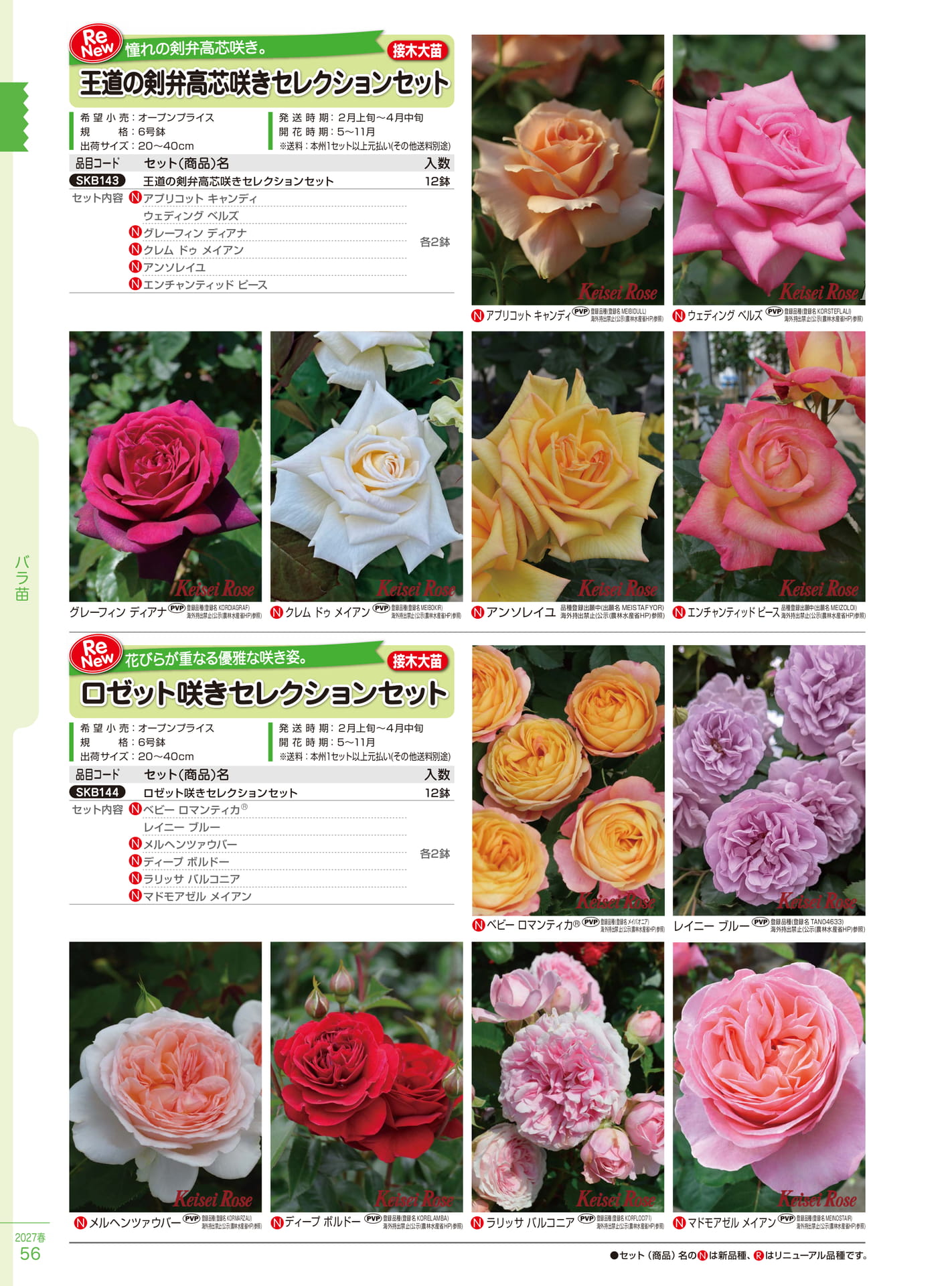 王道の剣弁高芯咲きセレクション（56ページ目）