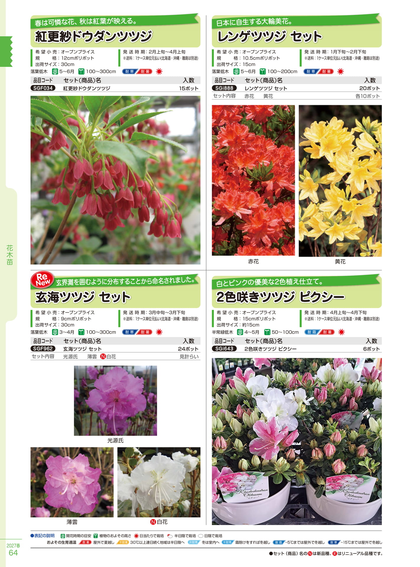 レンゲツツジ・玄海ツツジセット（64ページ目）
