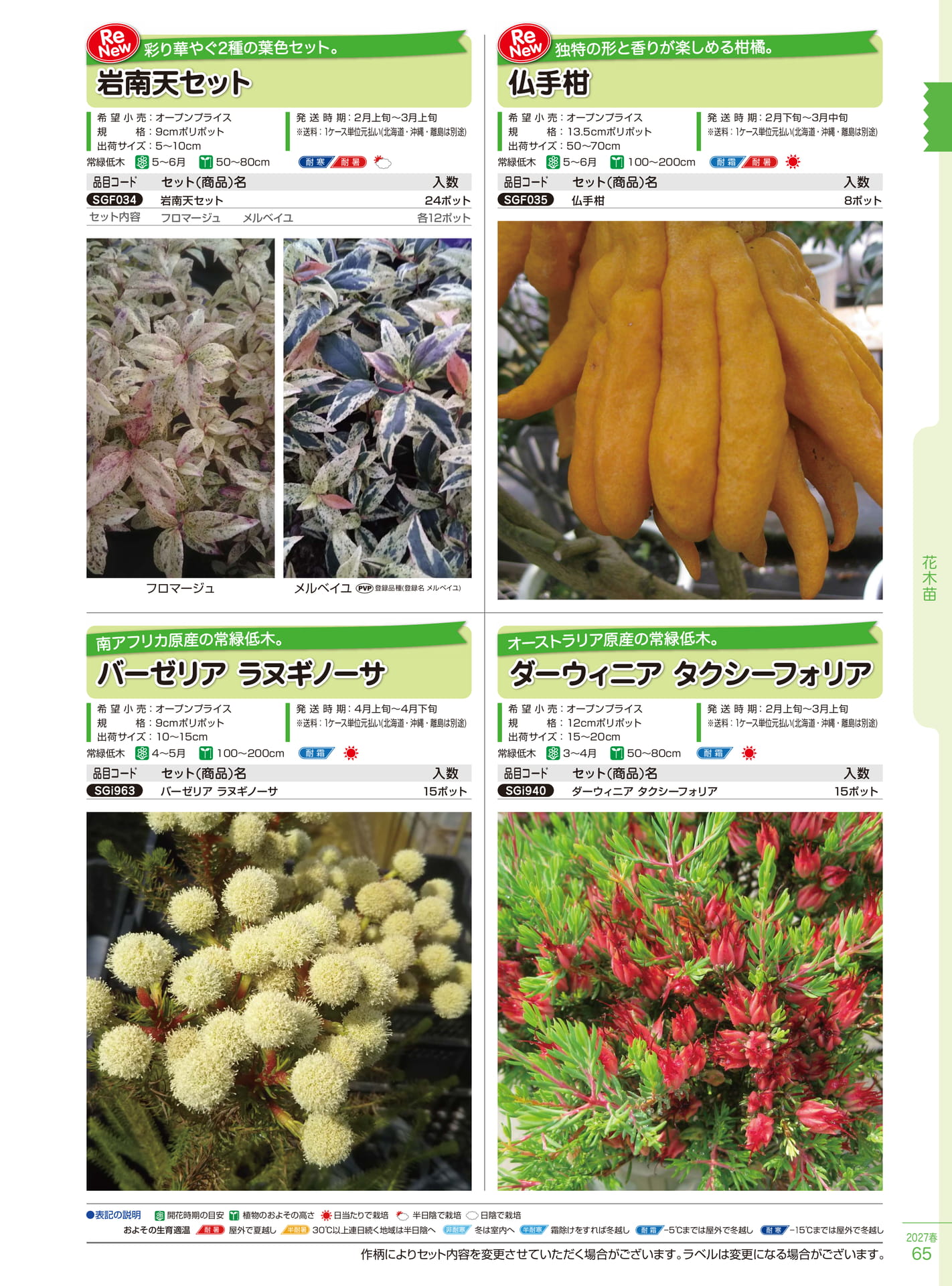 岩南天・仏手柑セット（65ページ目）