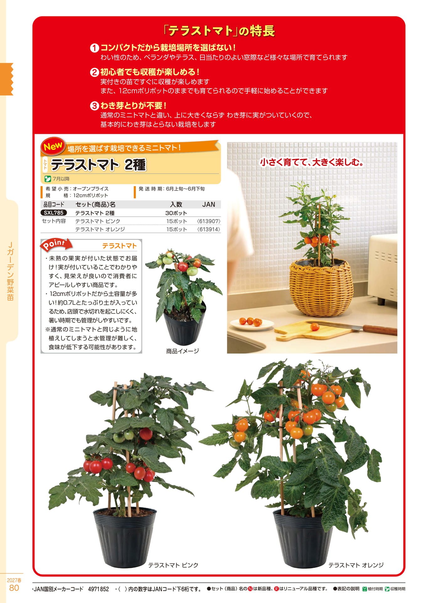 テラストマト 2種（80ページ目）