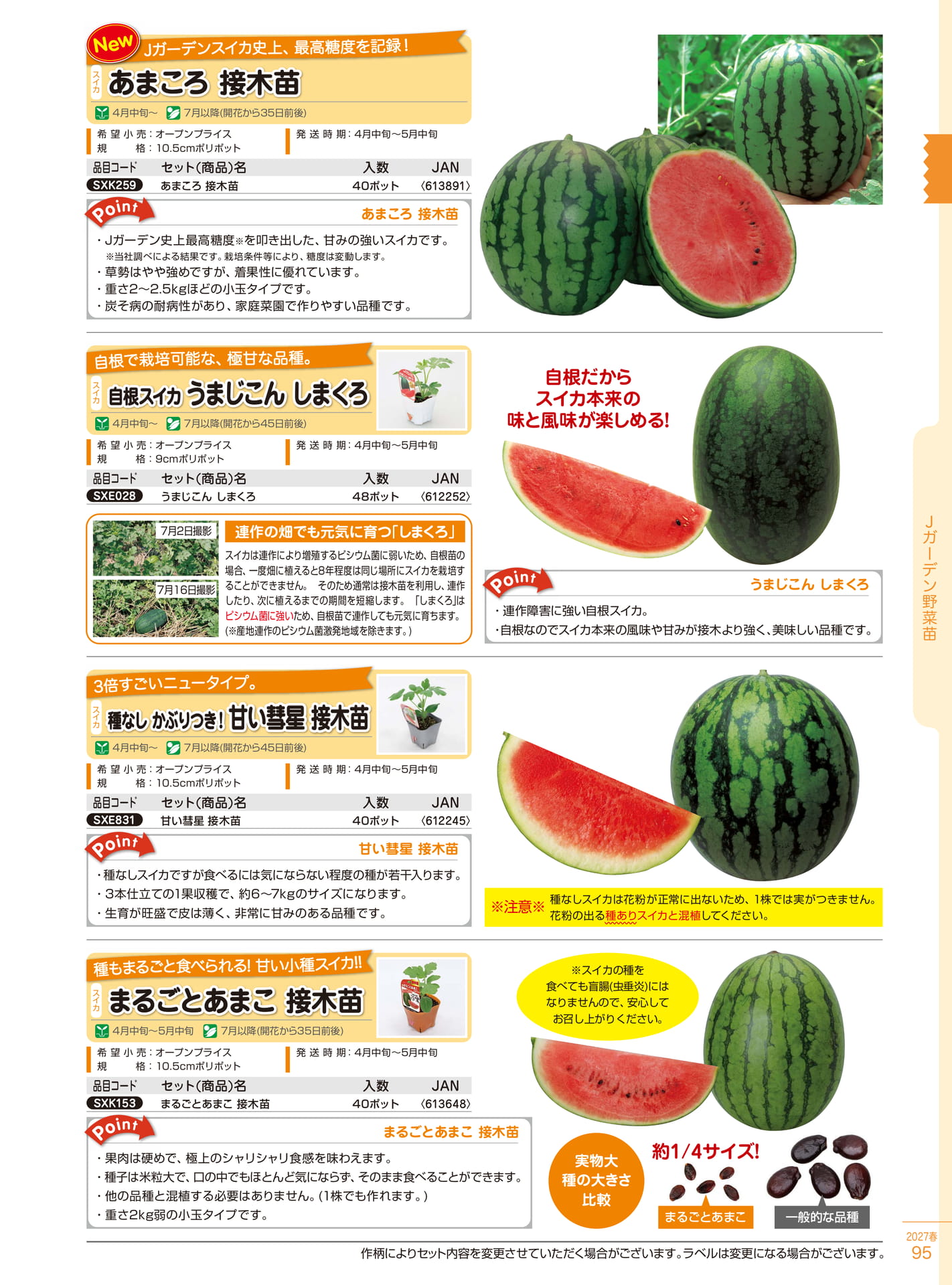 あまころ接木苗・スイカ品種（95ページ目）