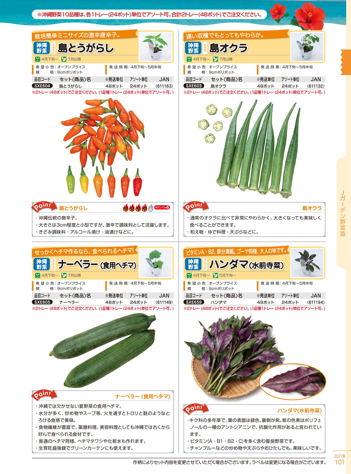 沖縄野菜苗（101ページ目）