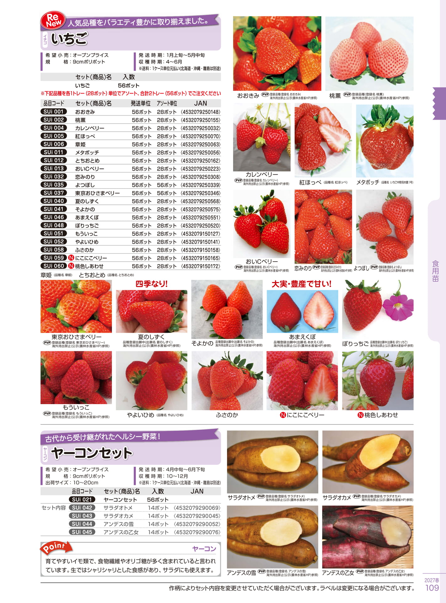 イチゴ人気品種（109ページ目）