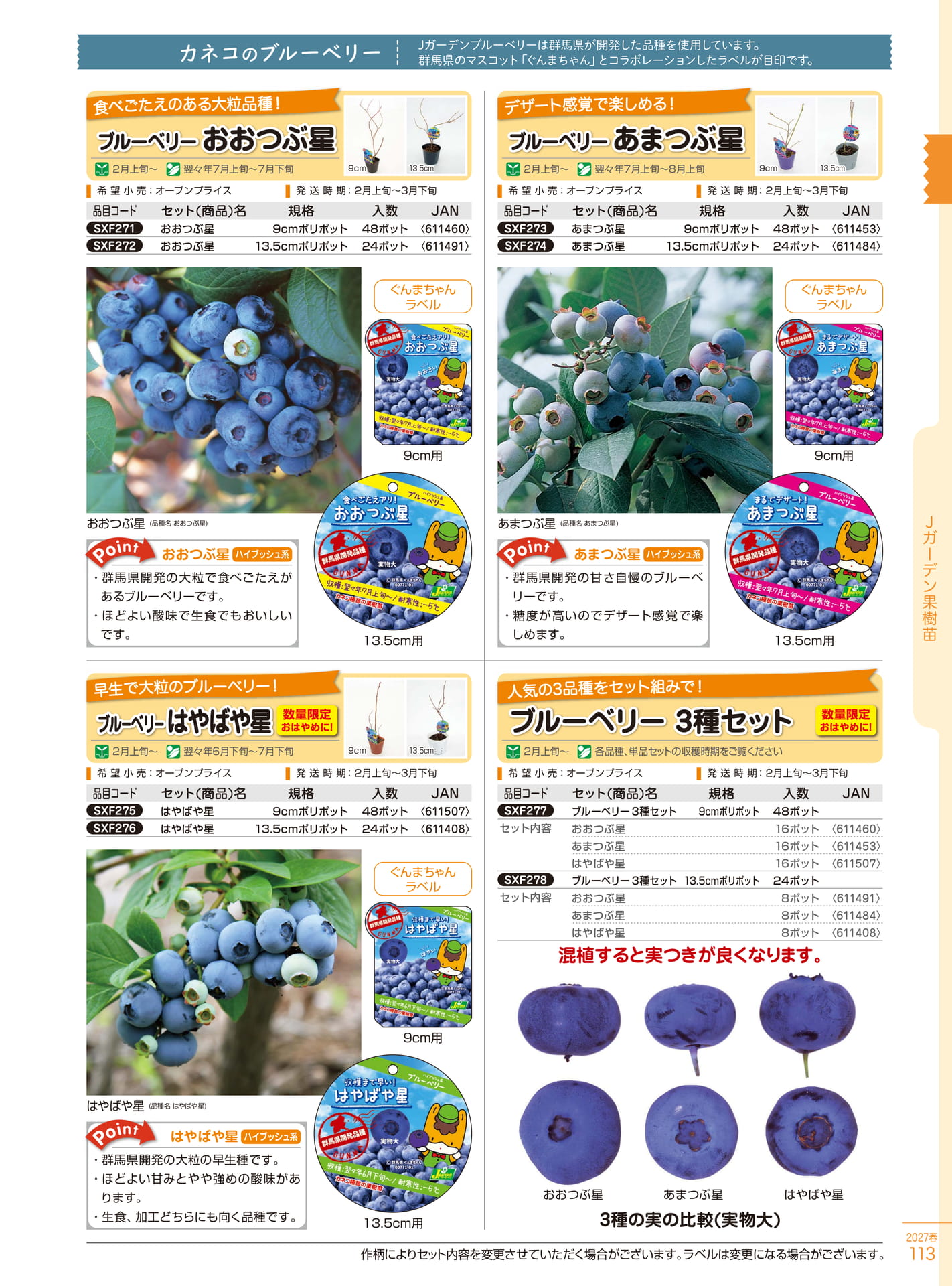 カネコのブルーベリー（113ページ目）