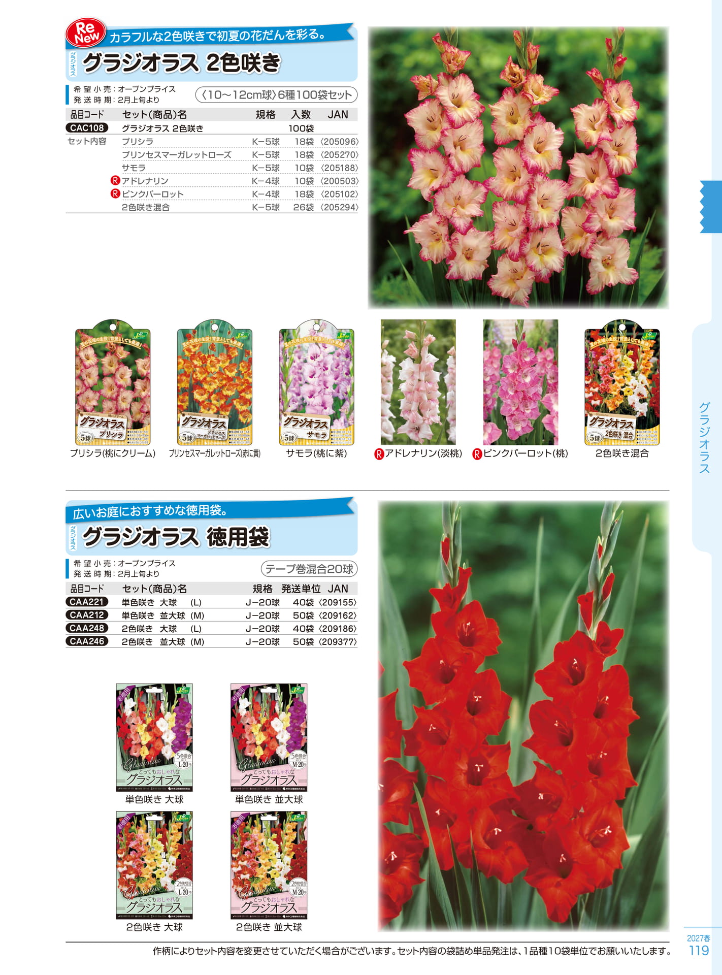 グラジオラス2色咲き・徳用袋（119ページ目）