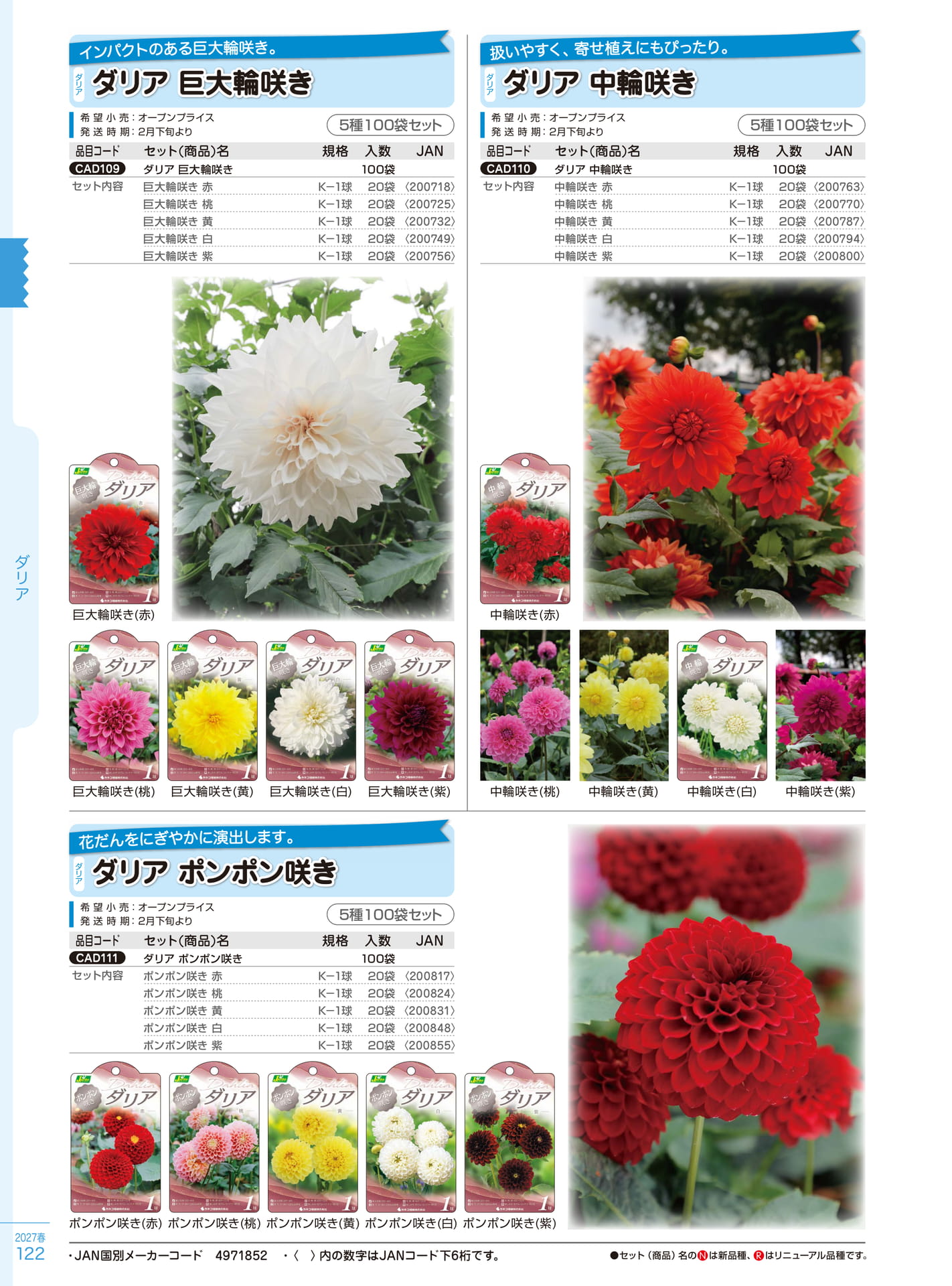 ダリア各種（122ページ目）
