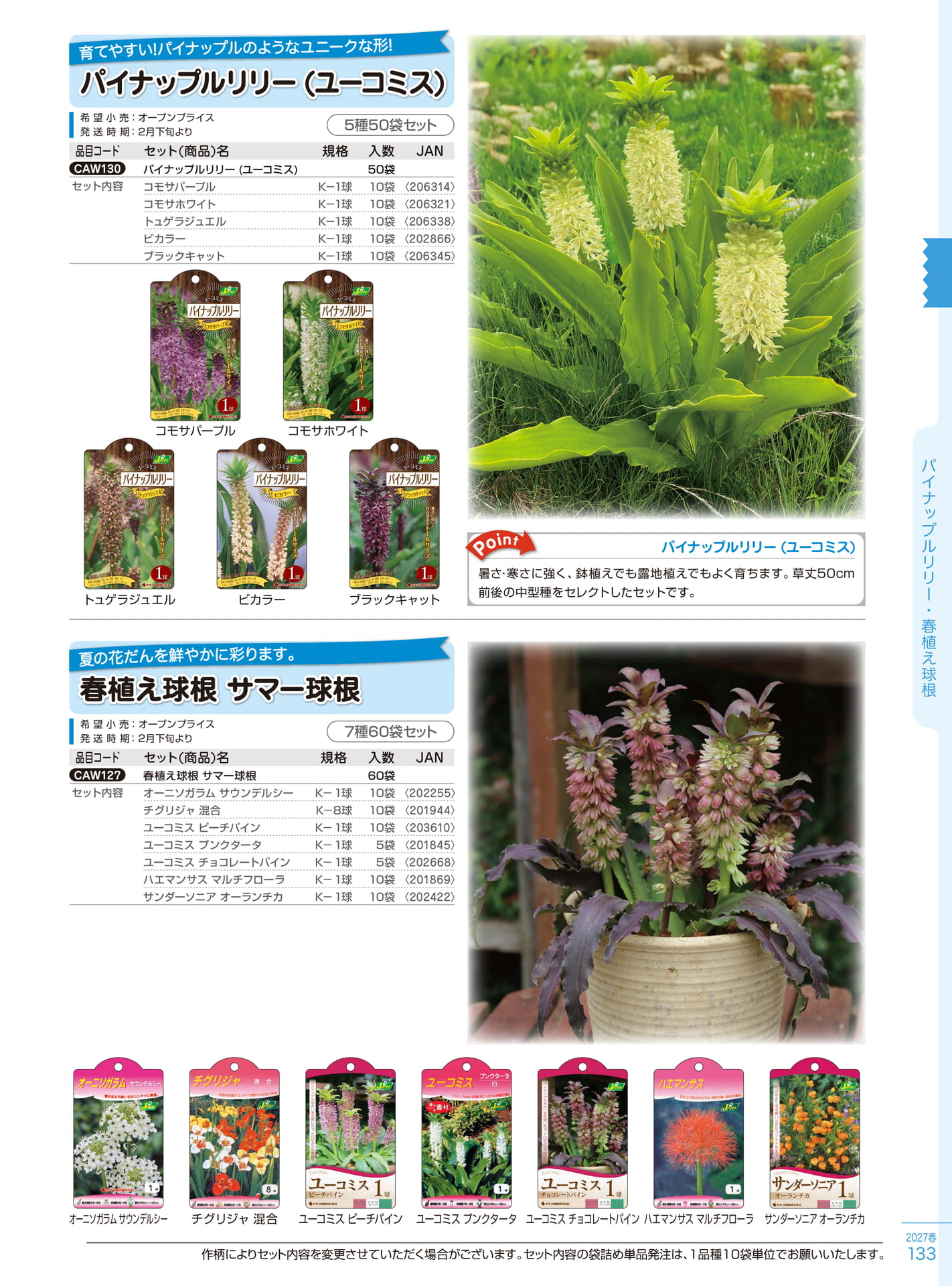パイナップルリリー・サマー球根（133ページ目）