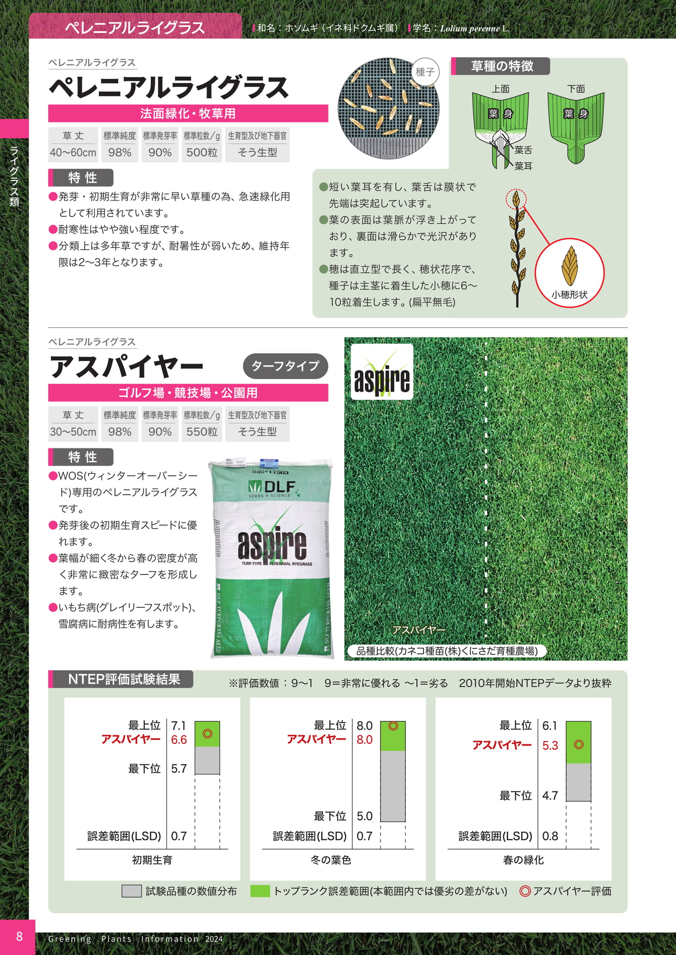 Page 10（10ページ目）