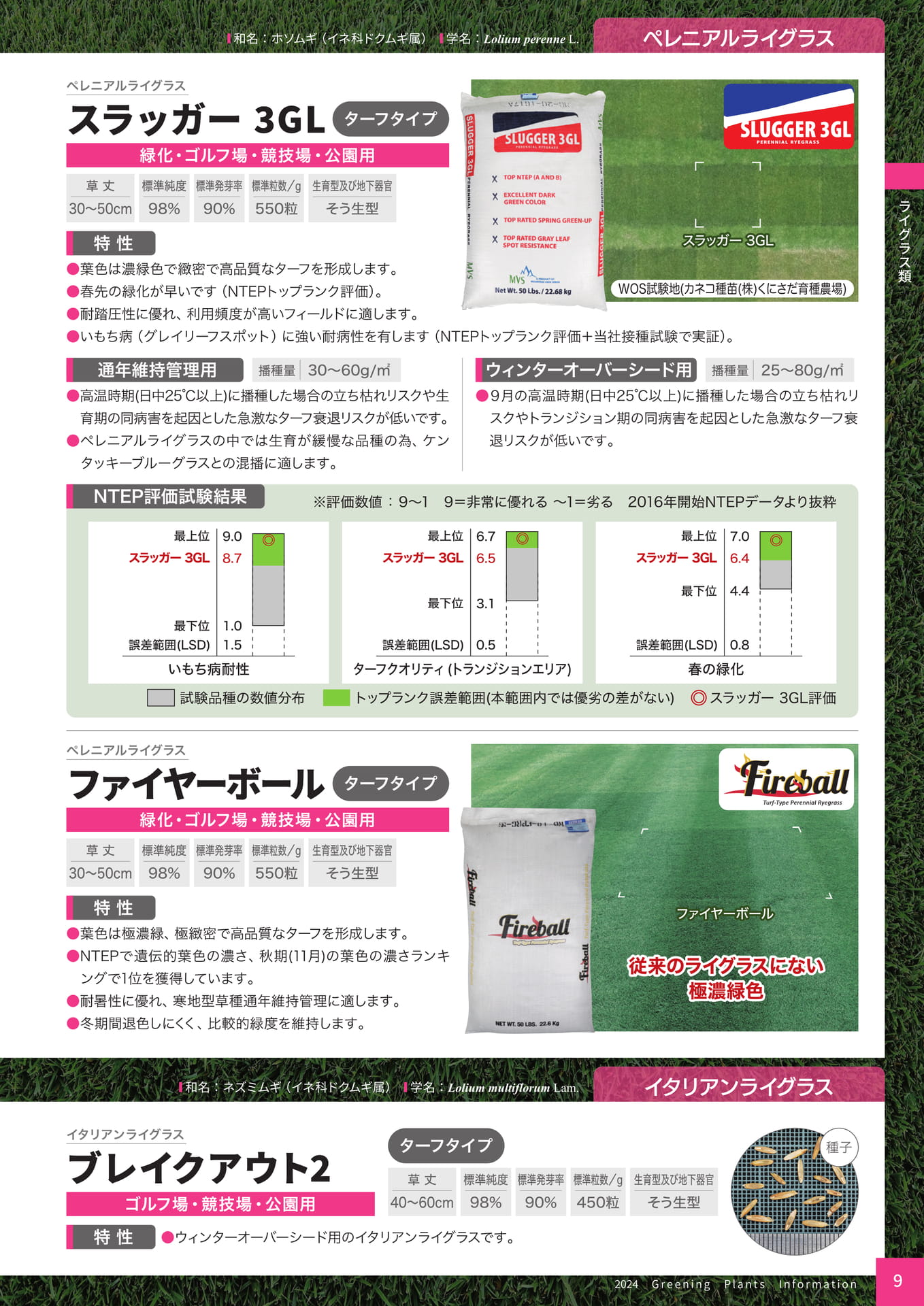Page 11（11ページ目）