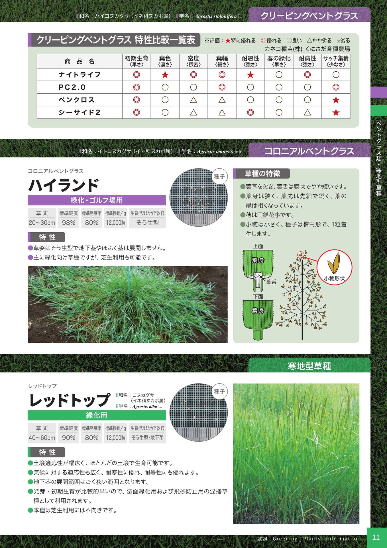 Page 13（13ページ目）