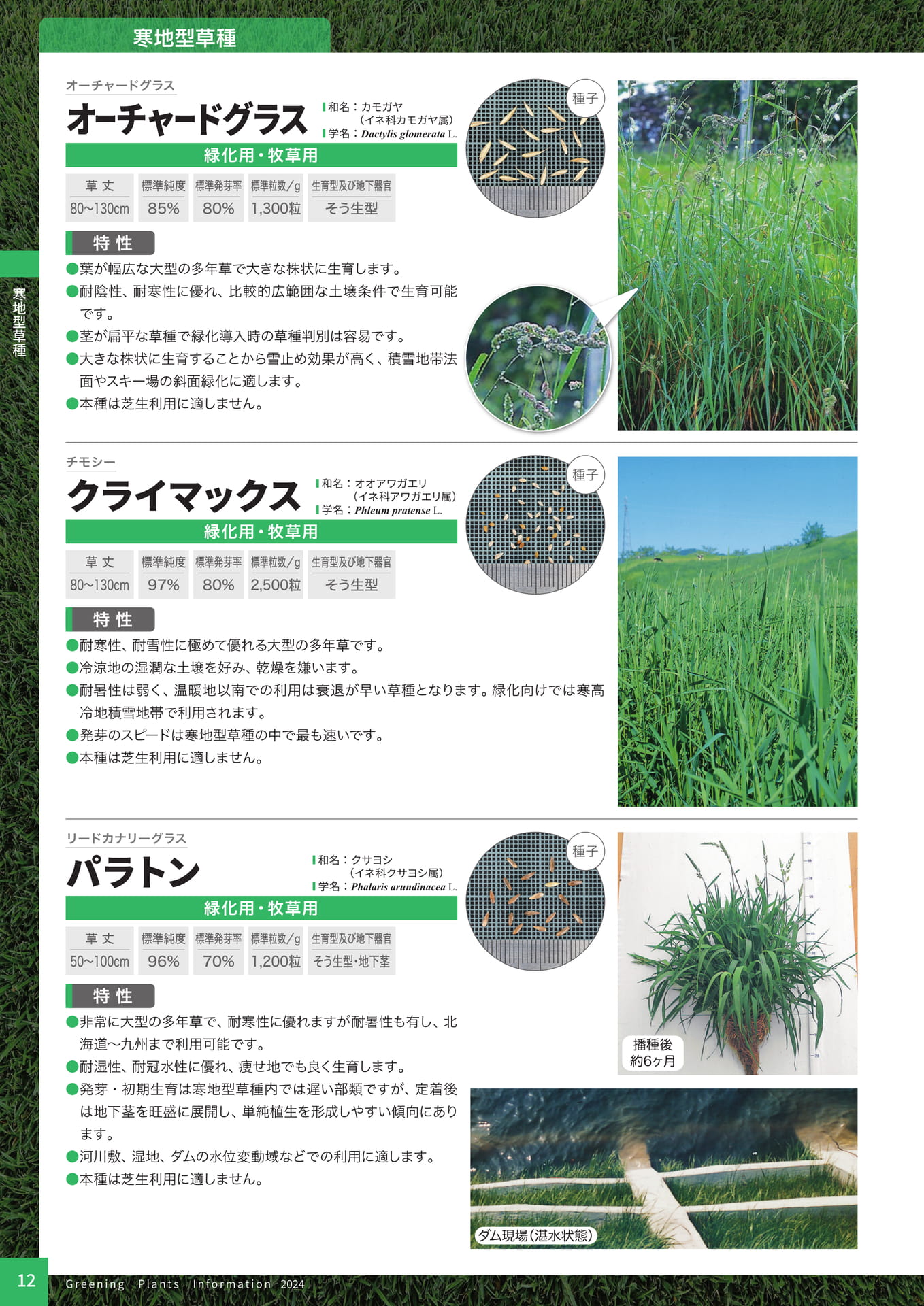 Page 14（14ページ目）