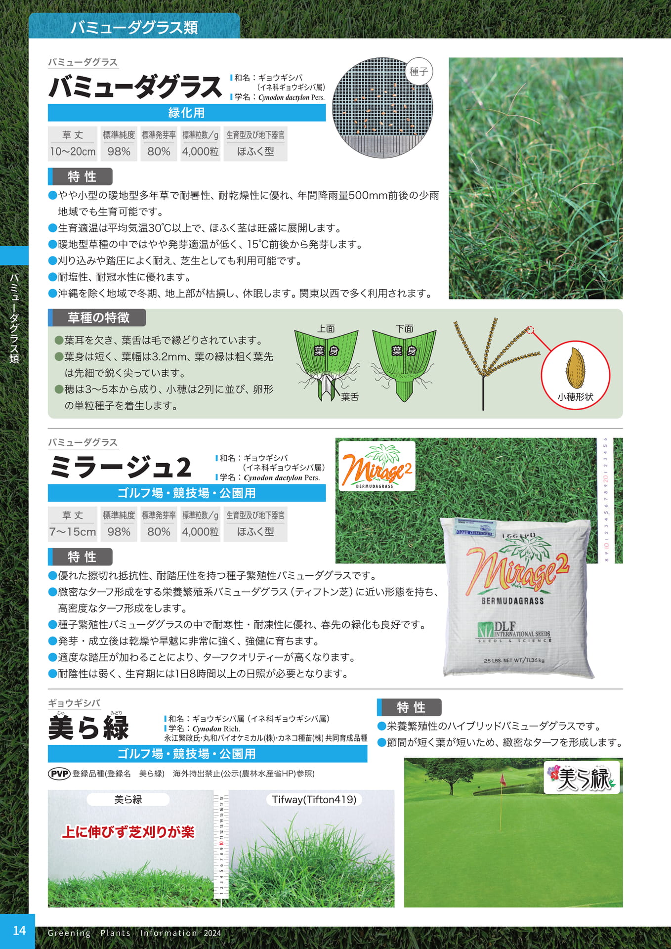 Page 16（16ページ目）